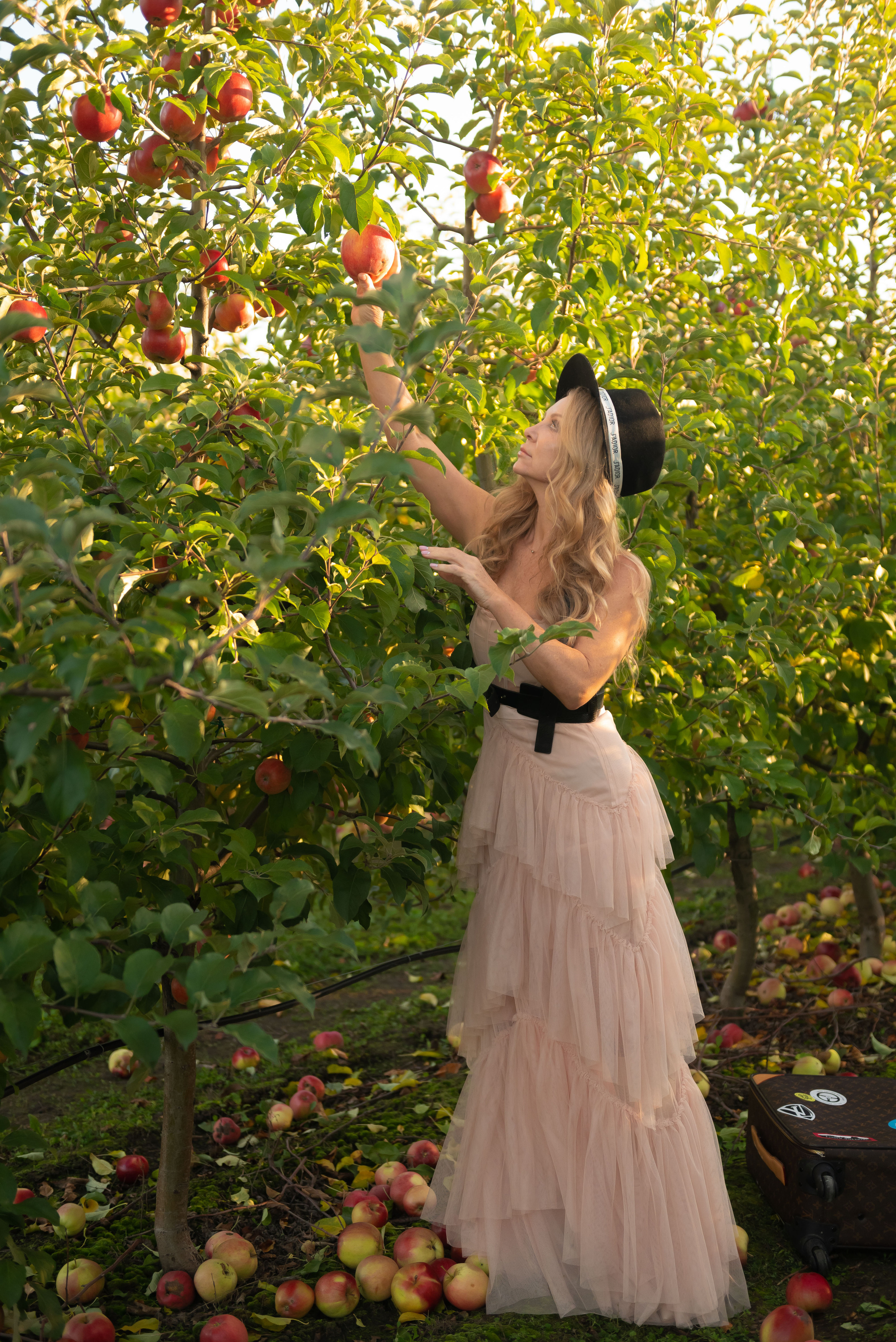 Svetlana. Семейный и детский фотограф в Белгороде Ольга Сорока