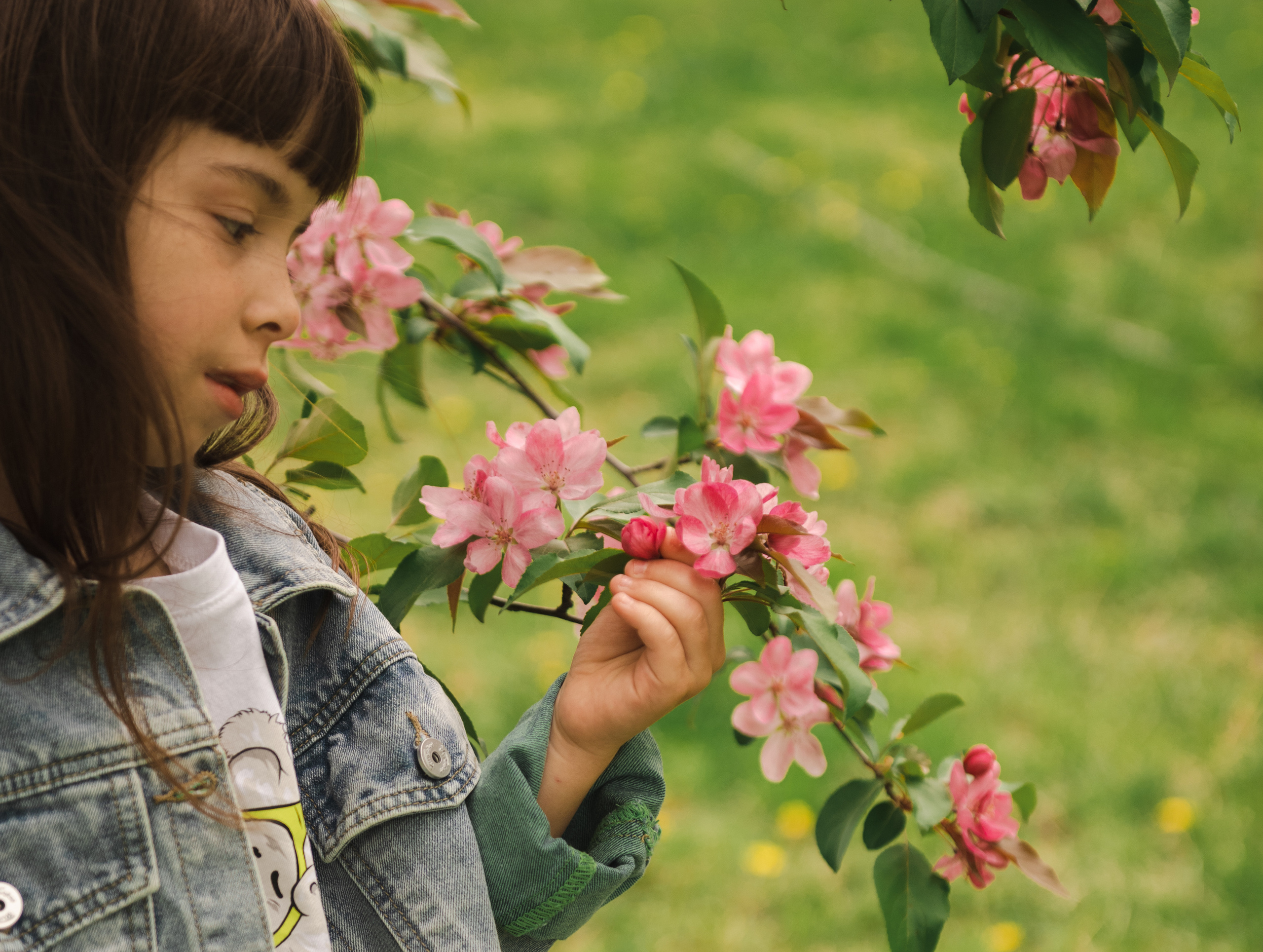 Diana & Roman & Sofia. Семейный и детский фотограф в Белгороде Ольга Сорока