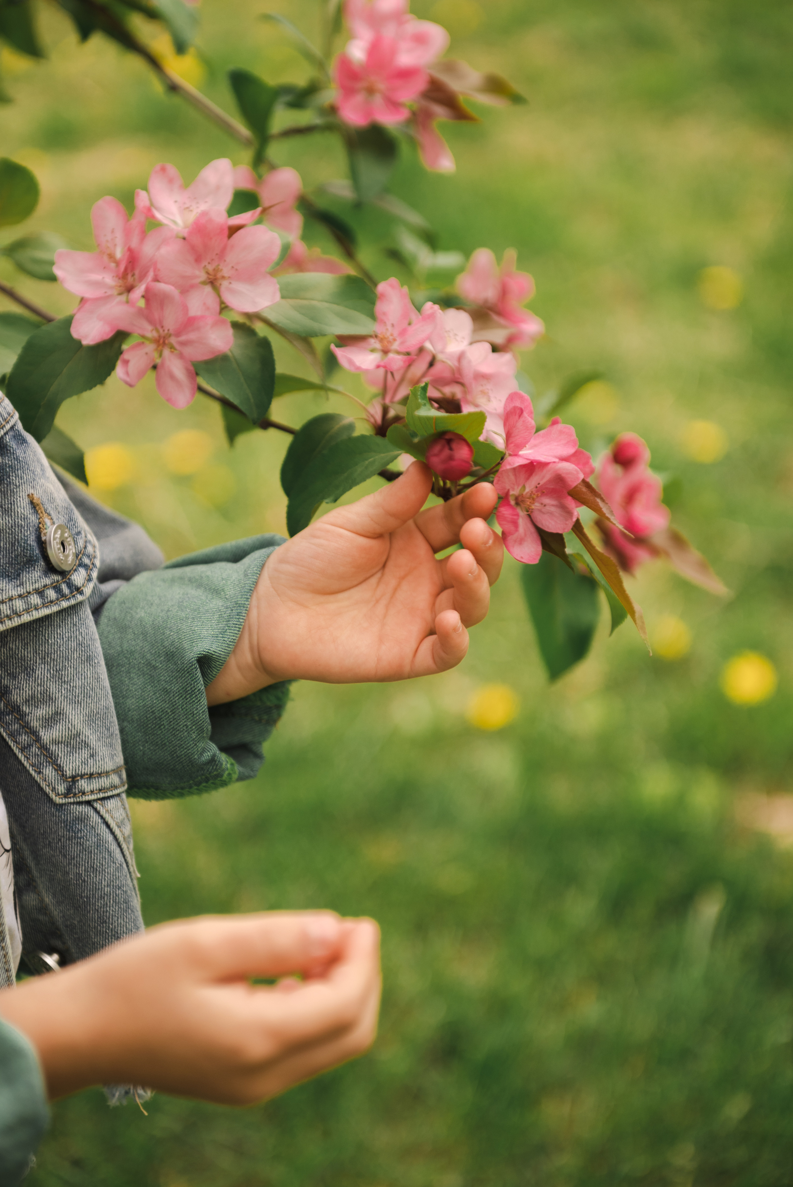 Diana & Roman & Sofia. Семейный и детский фотограф в Белгороде Ольга Сорока
