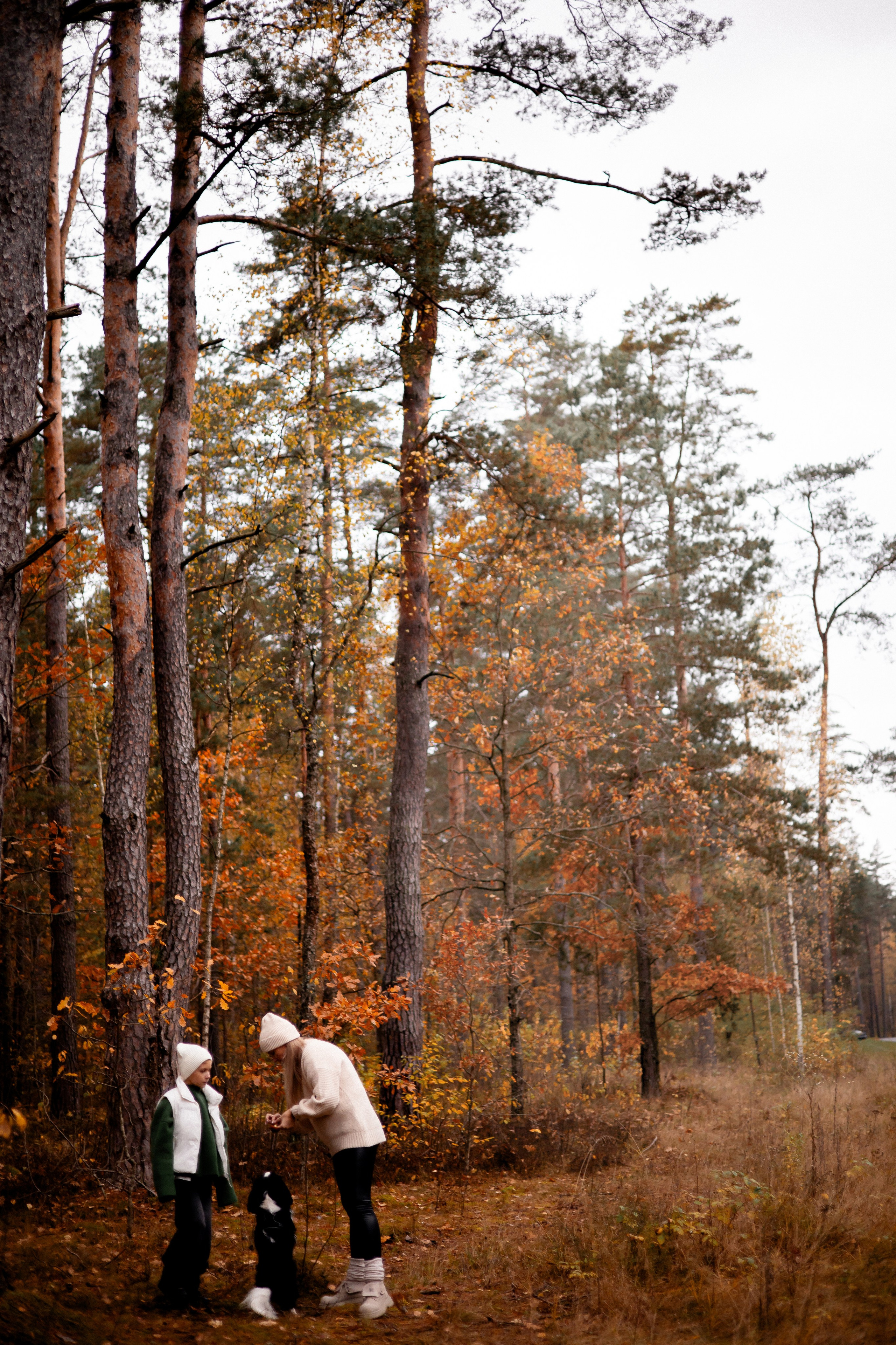 Осенняя фотосессия в Гомеле, семейная фотосессия в лесу, мама и сын, прогулка в лесу, фотосессия с собакой, осенний образ, лайф-стайл, семья, фотограф Гомель