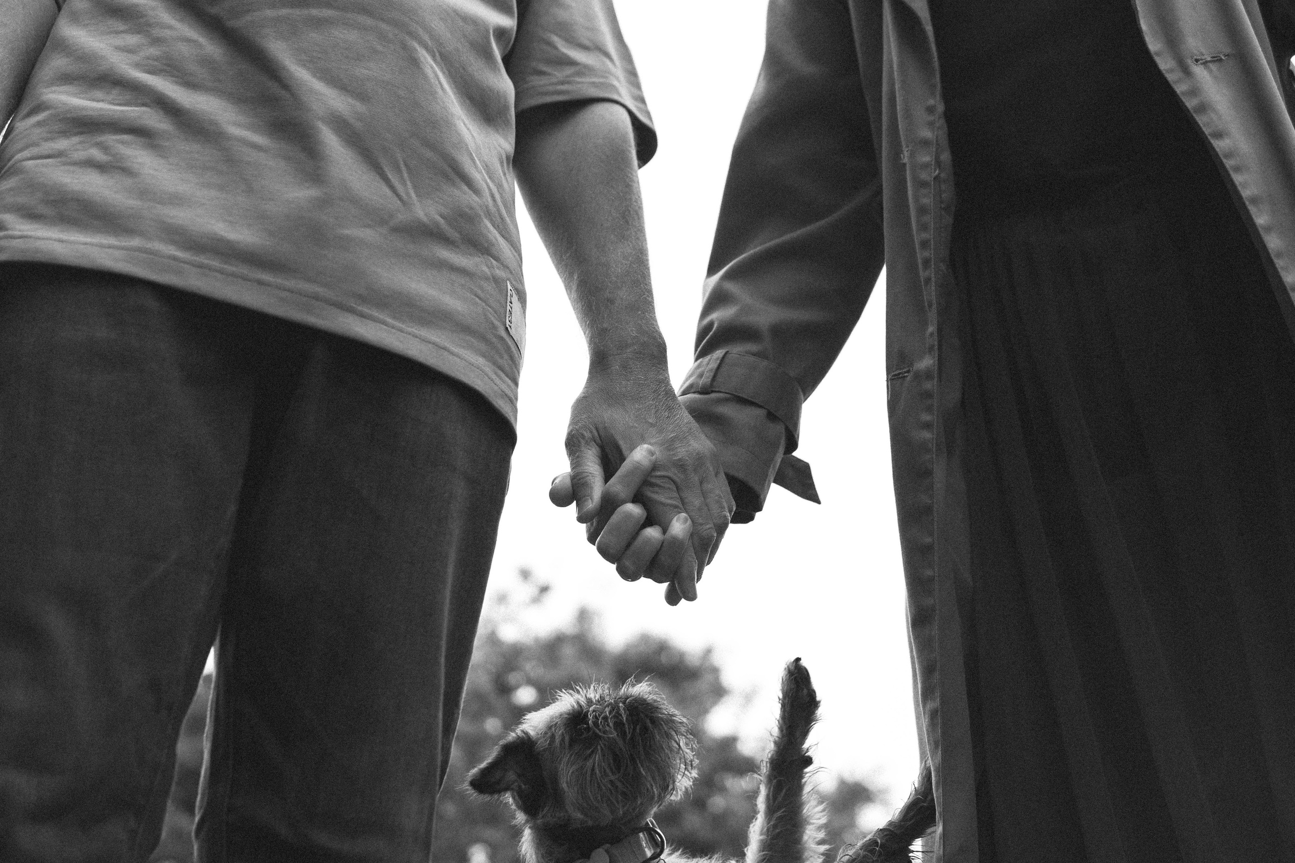 Наташа, Сережа и Хавьер. Фотограф-анималист Ксения Воробьева, Москва