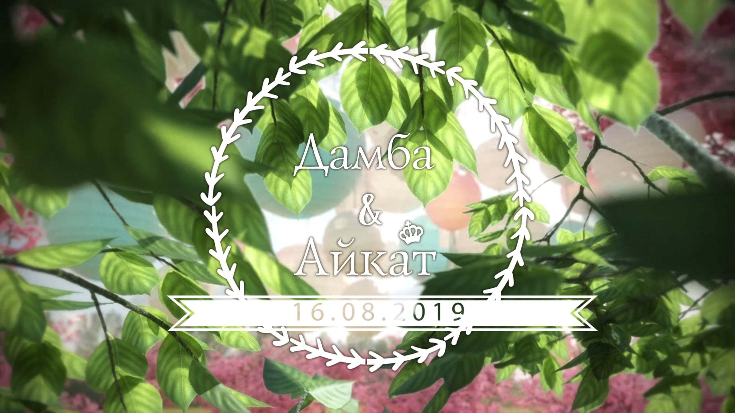 SDE (Клип с показом в тот же день)