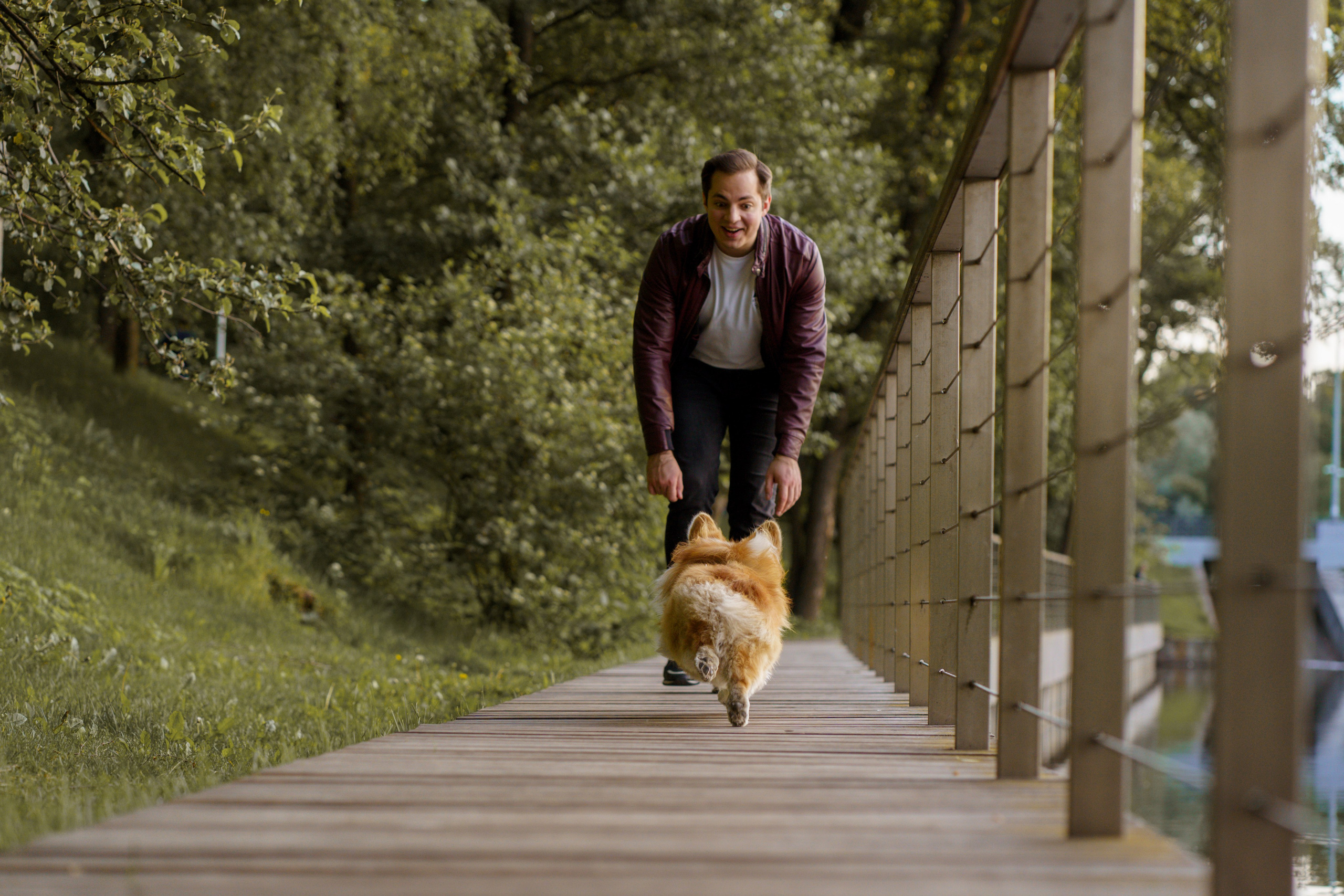 Катя, Арсений и Пух. Свадебный фотограф в Москве Анна Полушина