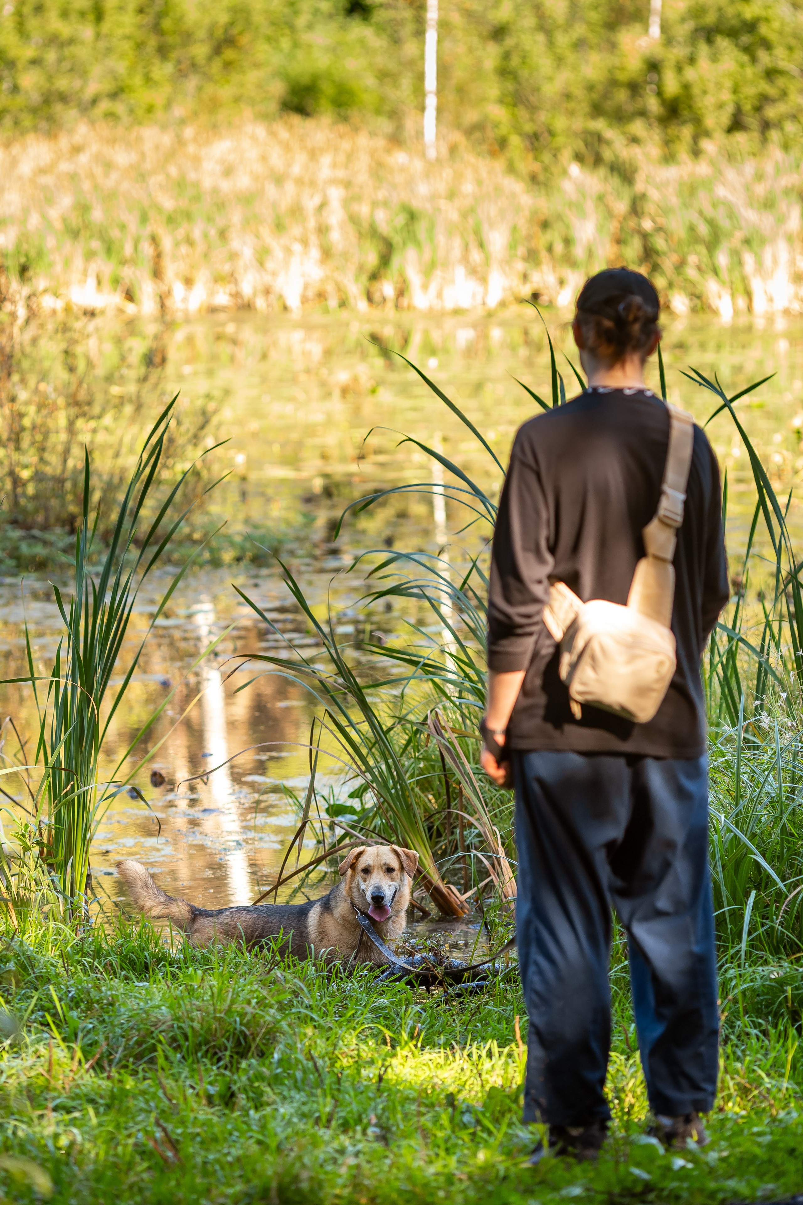 Petshop Забота. Фотограф в Санкт-Петербурге Чумаков Семен