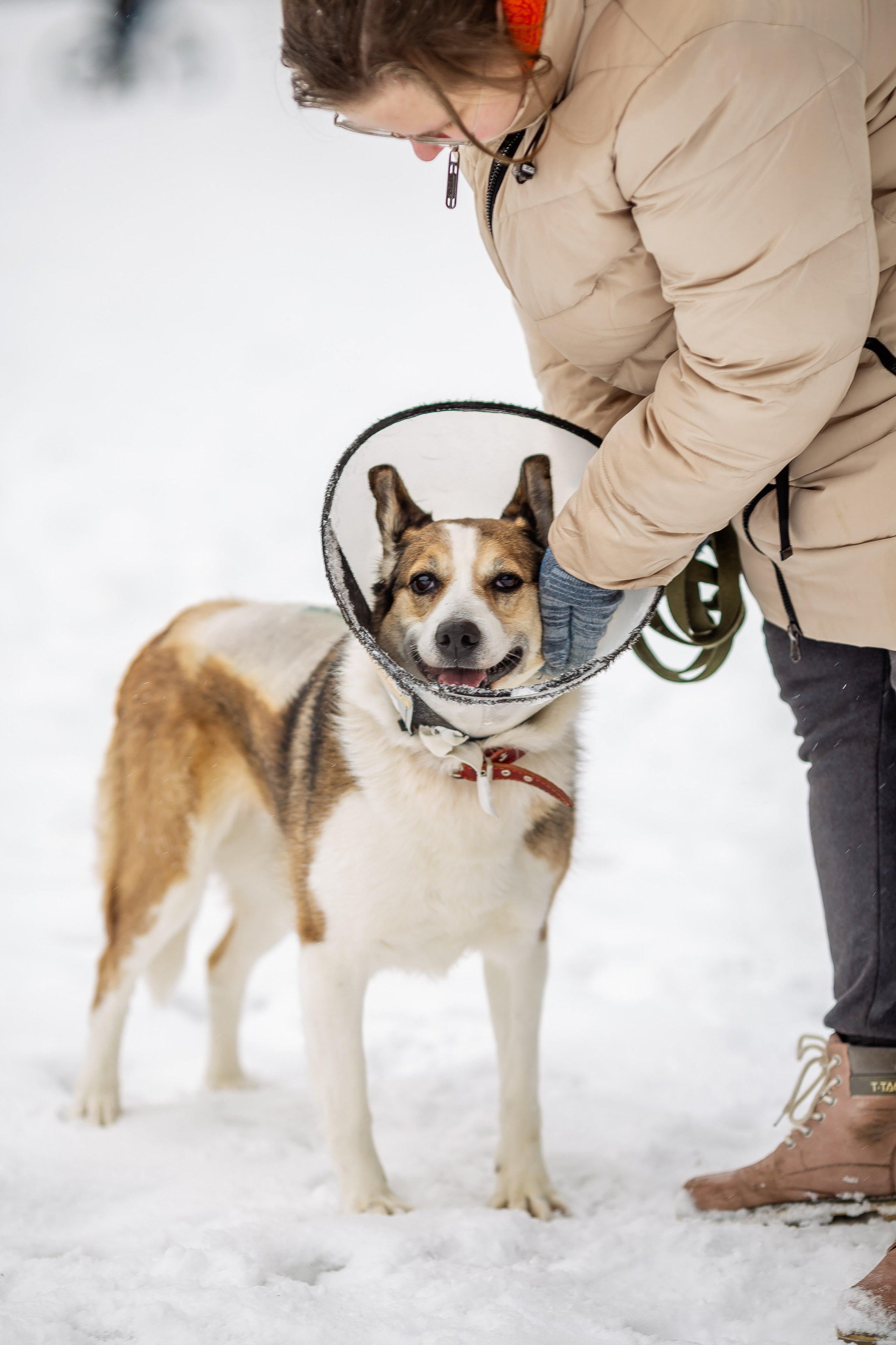 Petshop Забота. Фотограф в Санкт-Петербурге Чумаков Семен