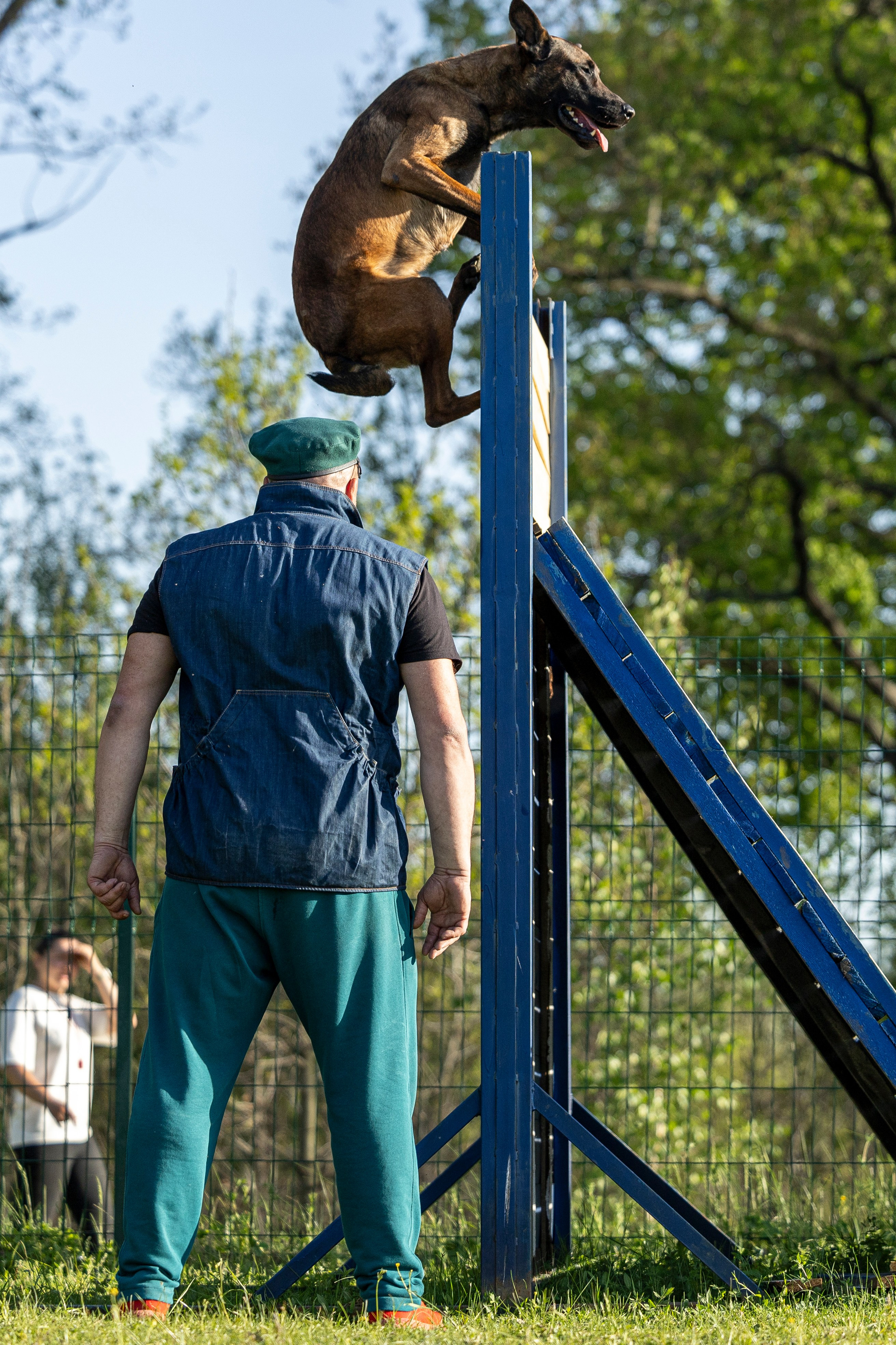 Испытания по мондьорингу в Нижнем Новгороде. Фотограф-анималист Анна Маринич