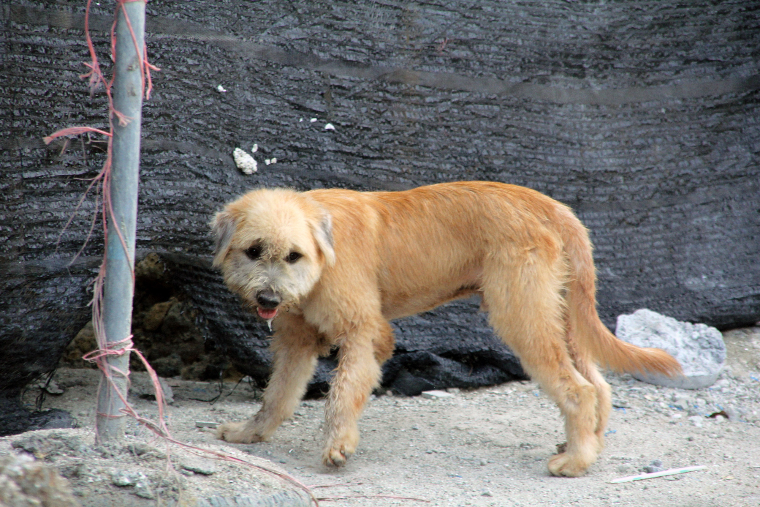 Пхукет. Фотограф Алексей Федорищев