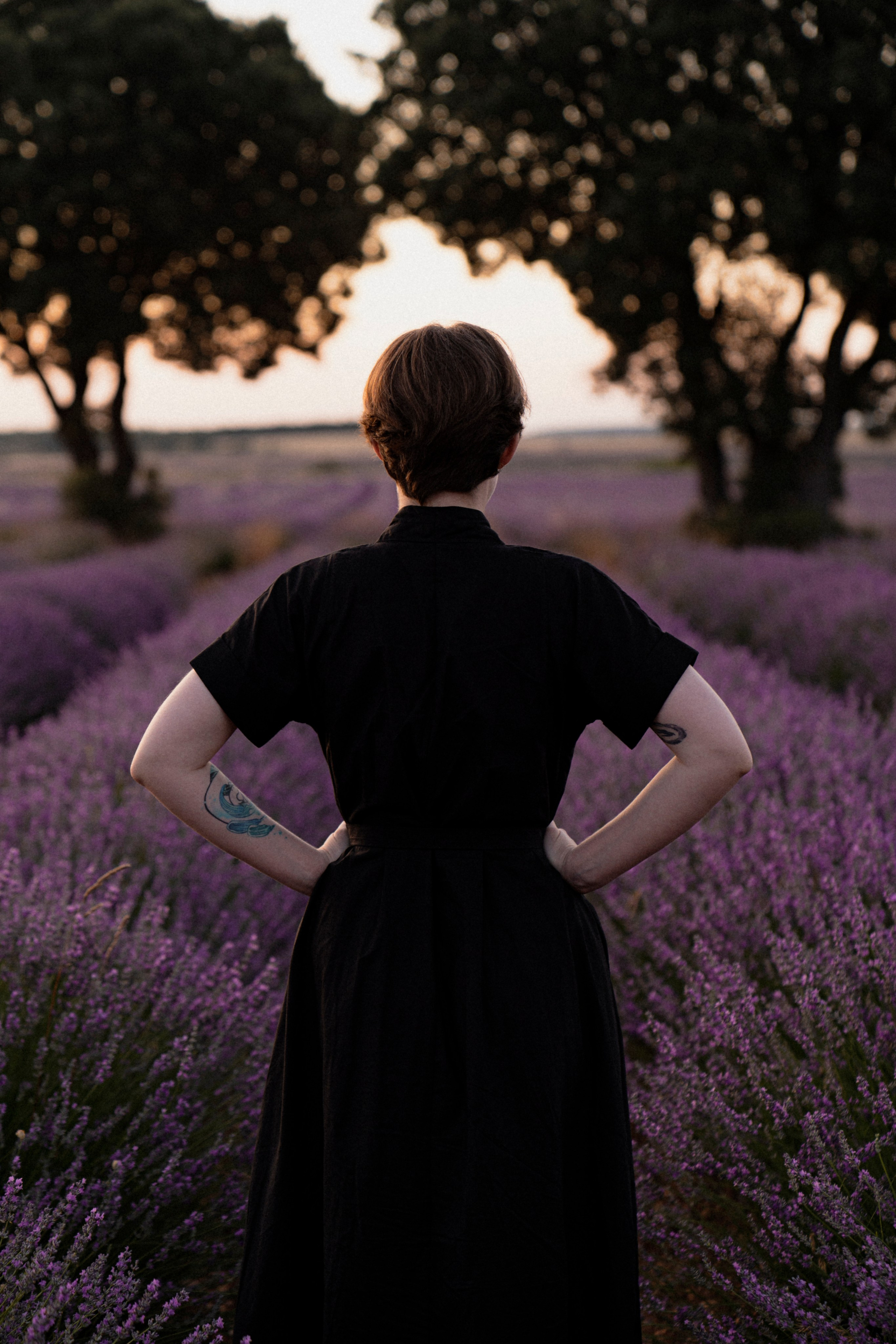 Испанский Прованс (рассвет). ...........