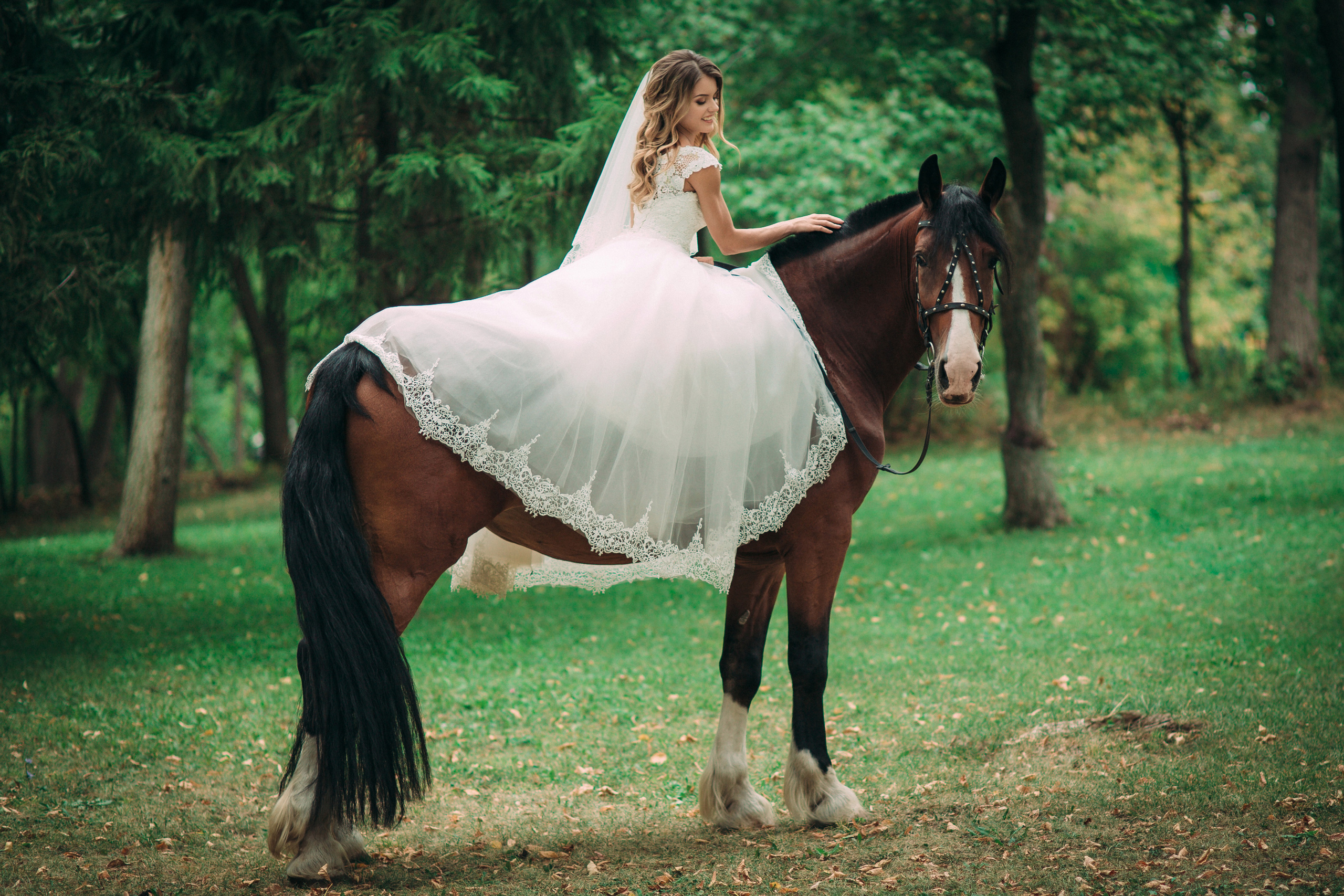 Свадебное фото портфолио. Свадебное фото и видео