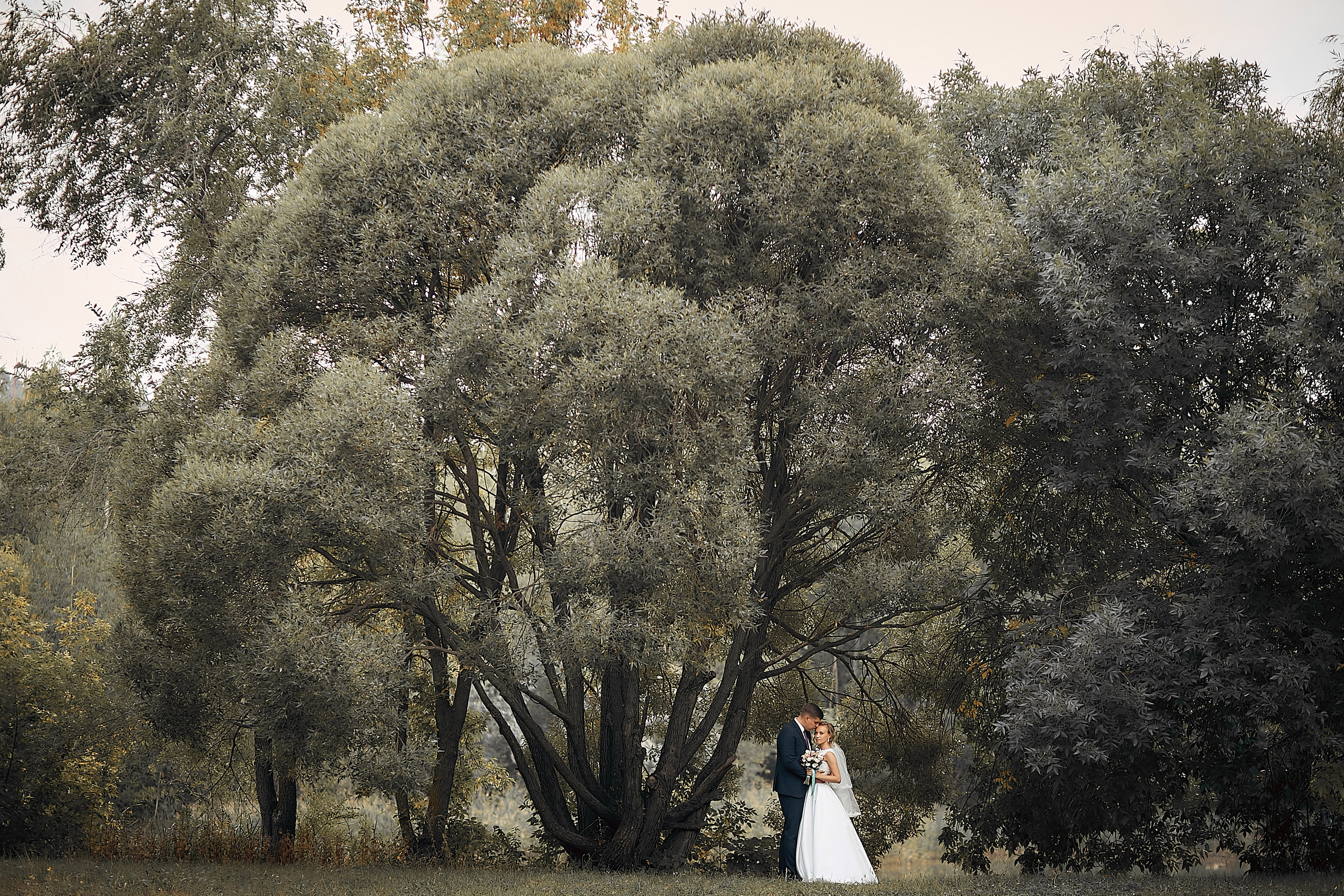 Свадебное фото портфолио. Свадебное фото и видео