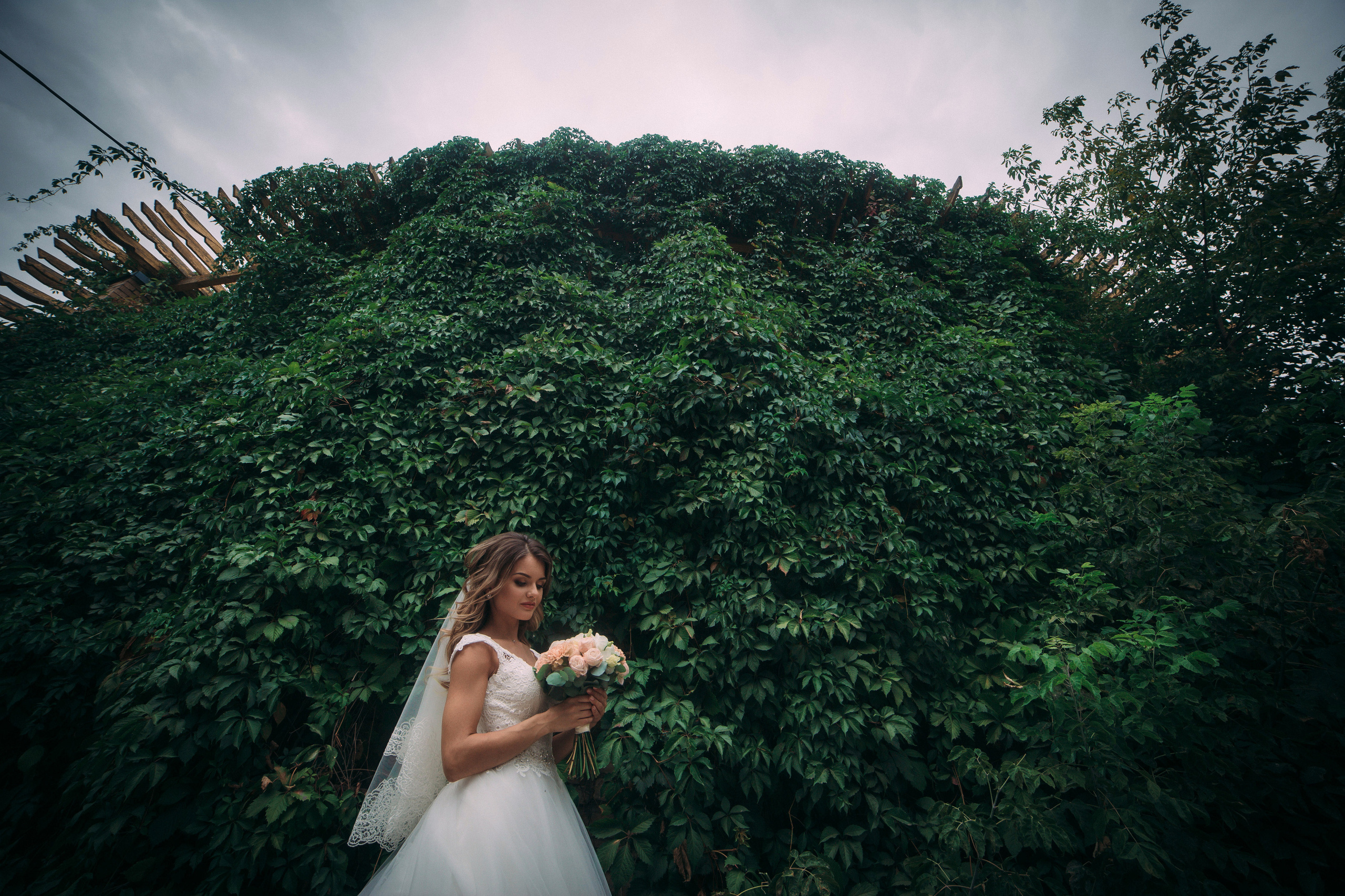 Денис и Аня. Свадебное фото и видео