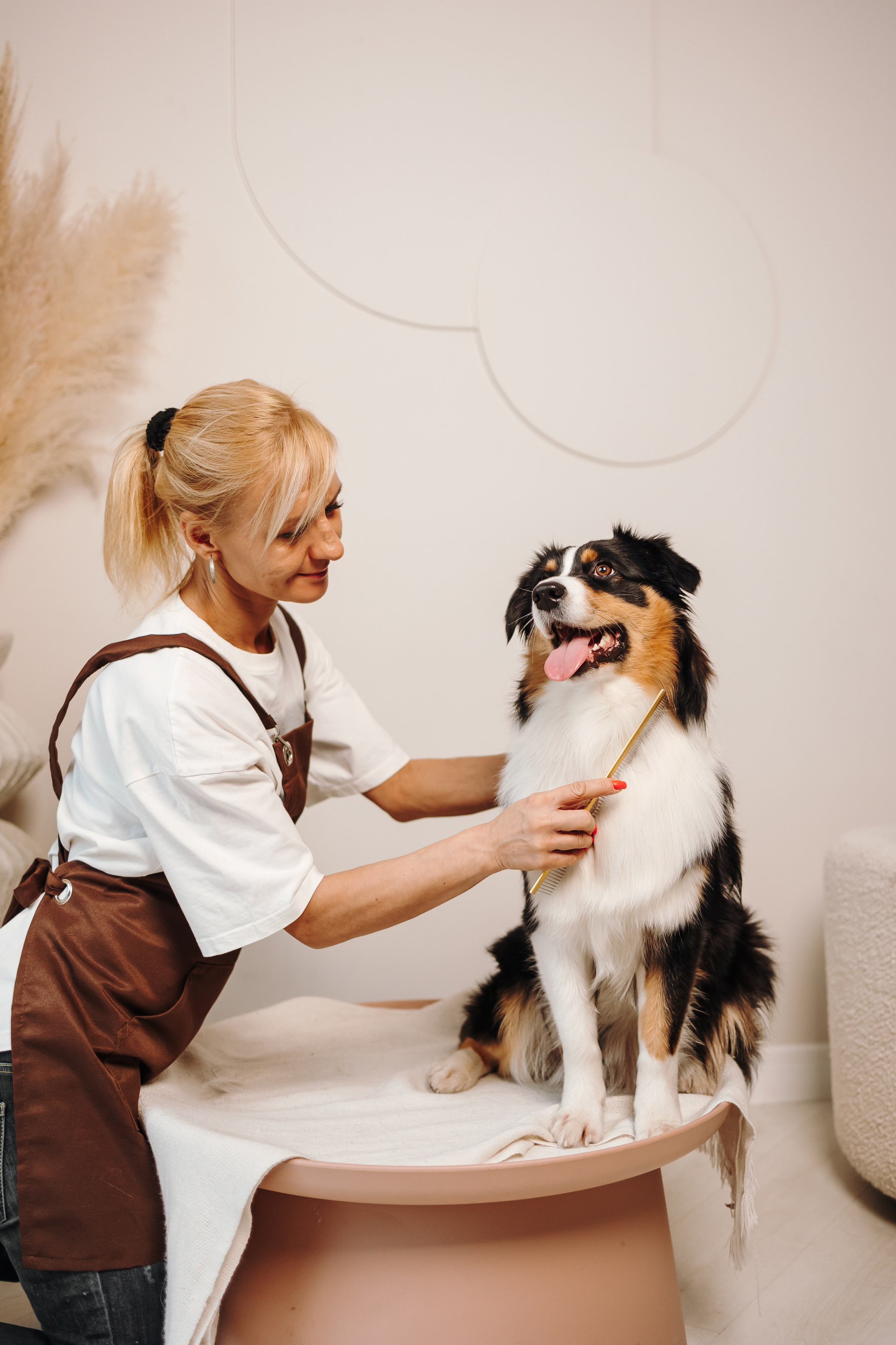 Груминг. Фотограф-анималист в Санкт-Петербурге Алина Яхонт