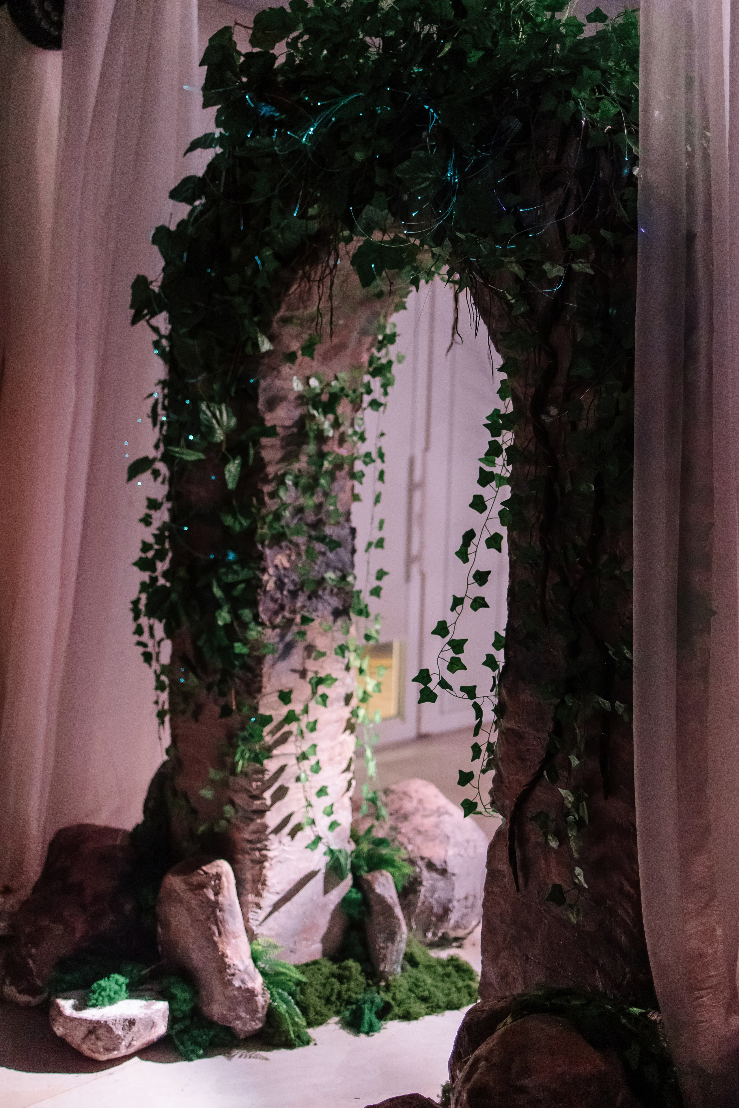 Шоу тортов 2. Свадебный фотограф