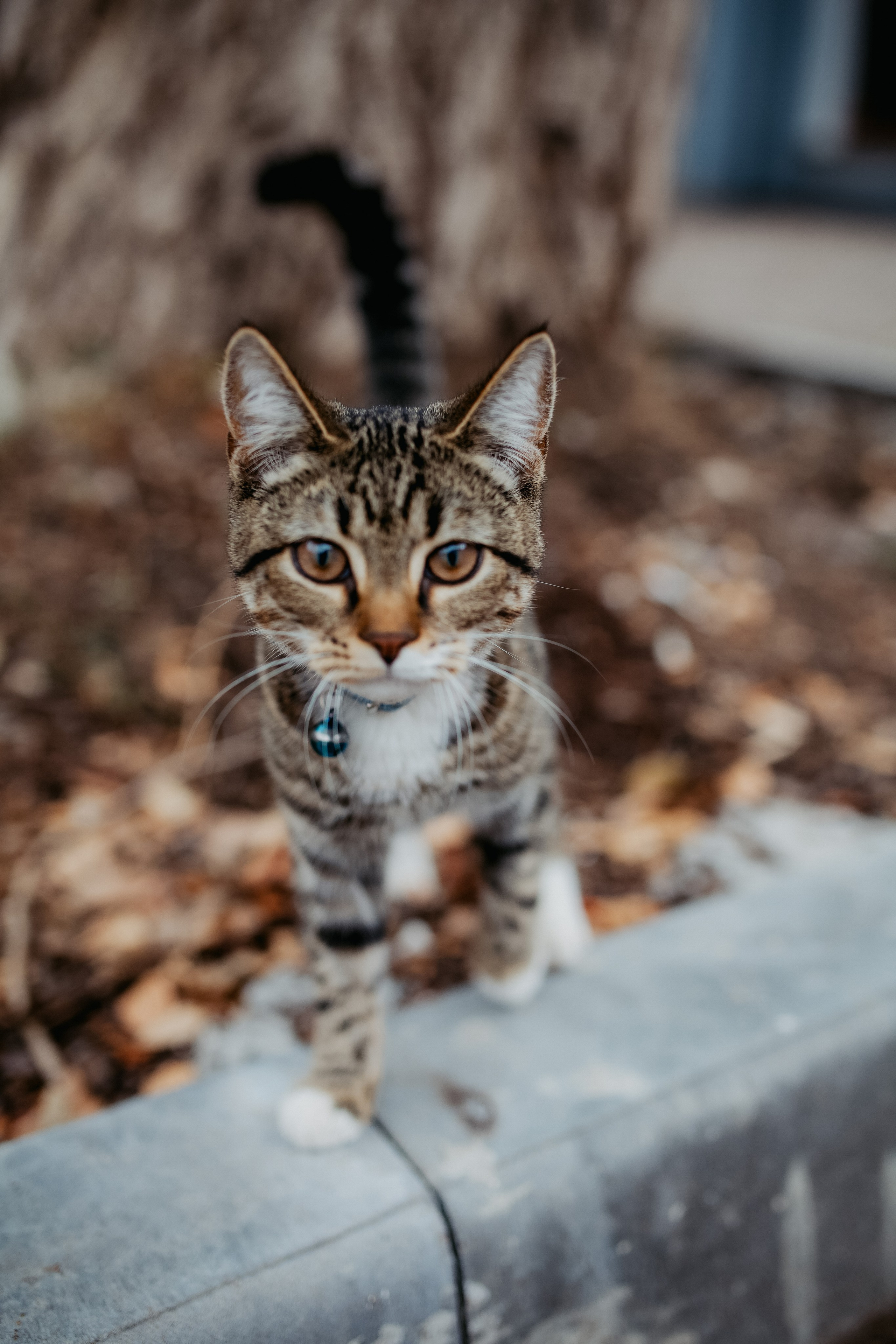 Роман & Юлия | студия и прогулка. Универсальный фотограф и видеограф в Самаре