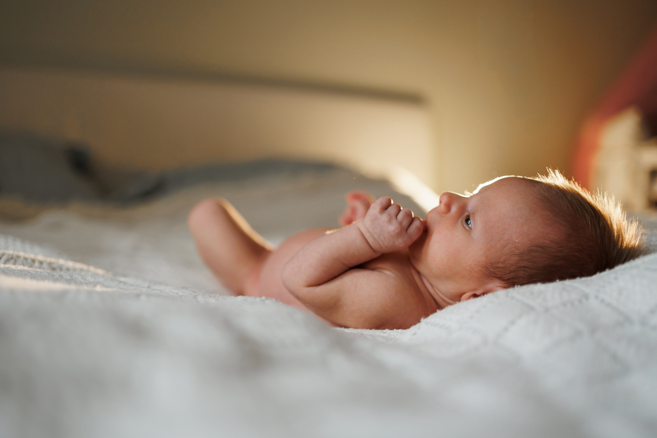 Mia. Свадебный фотограф. Москва. Мытищи