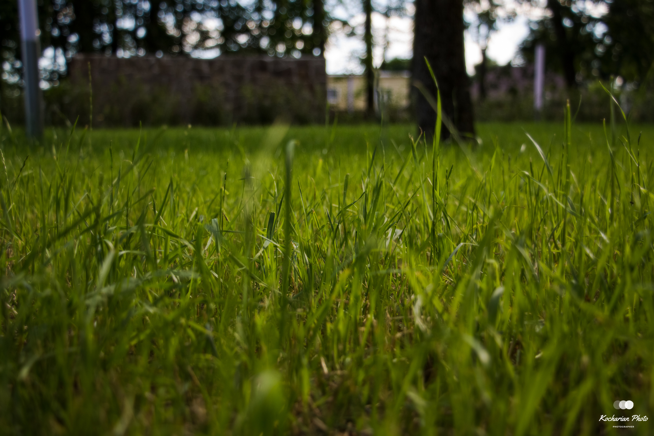 Макросъемка. Photographer K.A.D