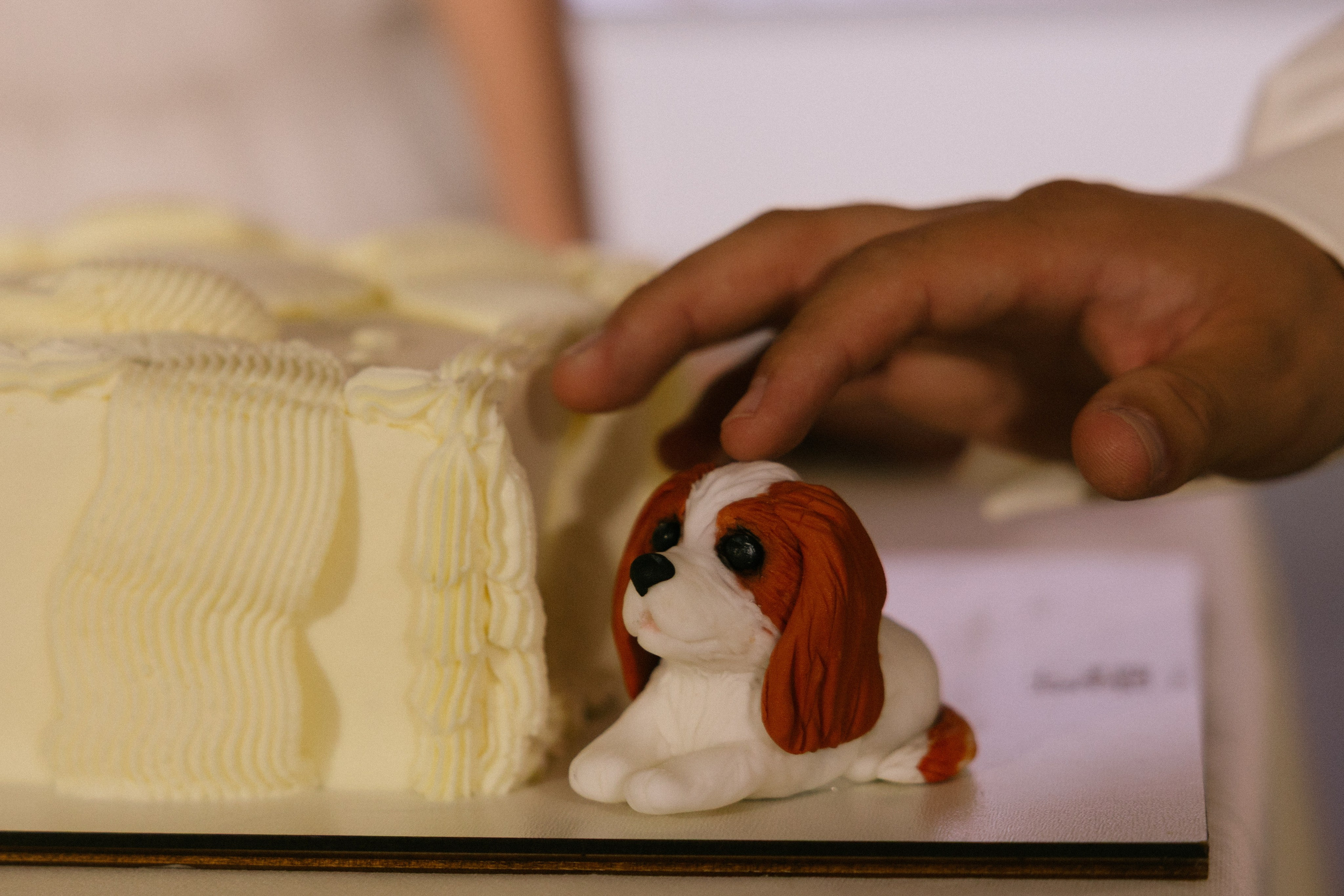 Ныряй в мою любовь!. Свадебный и репортажный фотограф Новороссийск, Краснодар, Сочи Олеся Дзюба