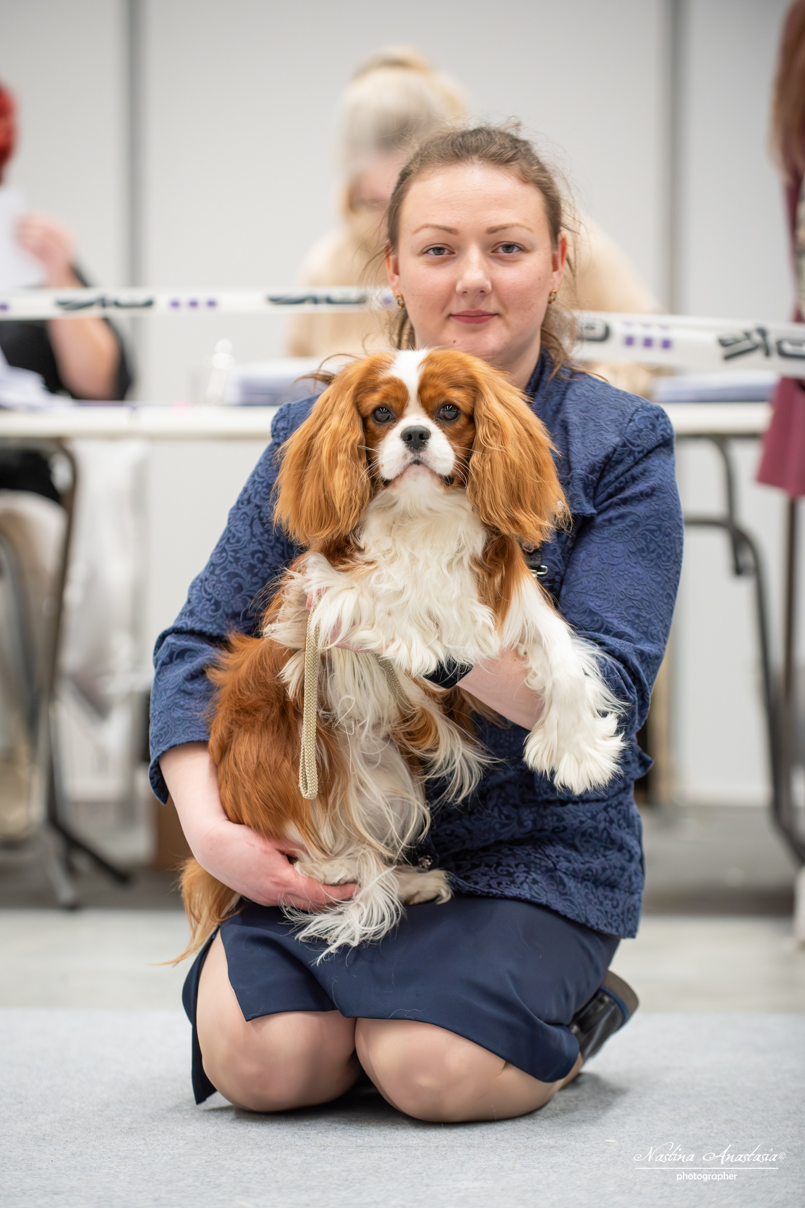 Выставки. Фотограф — Анималист