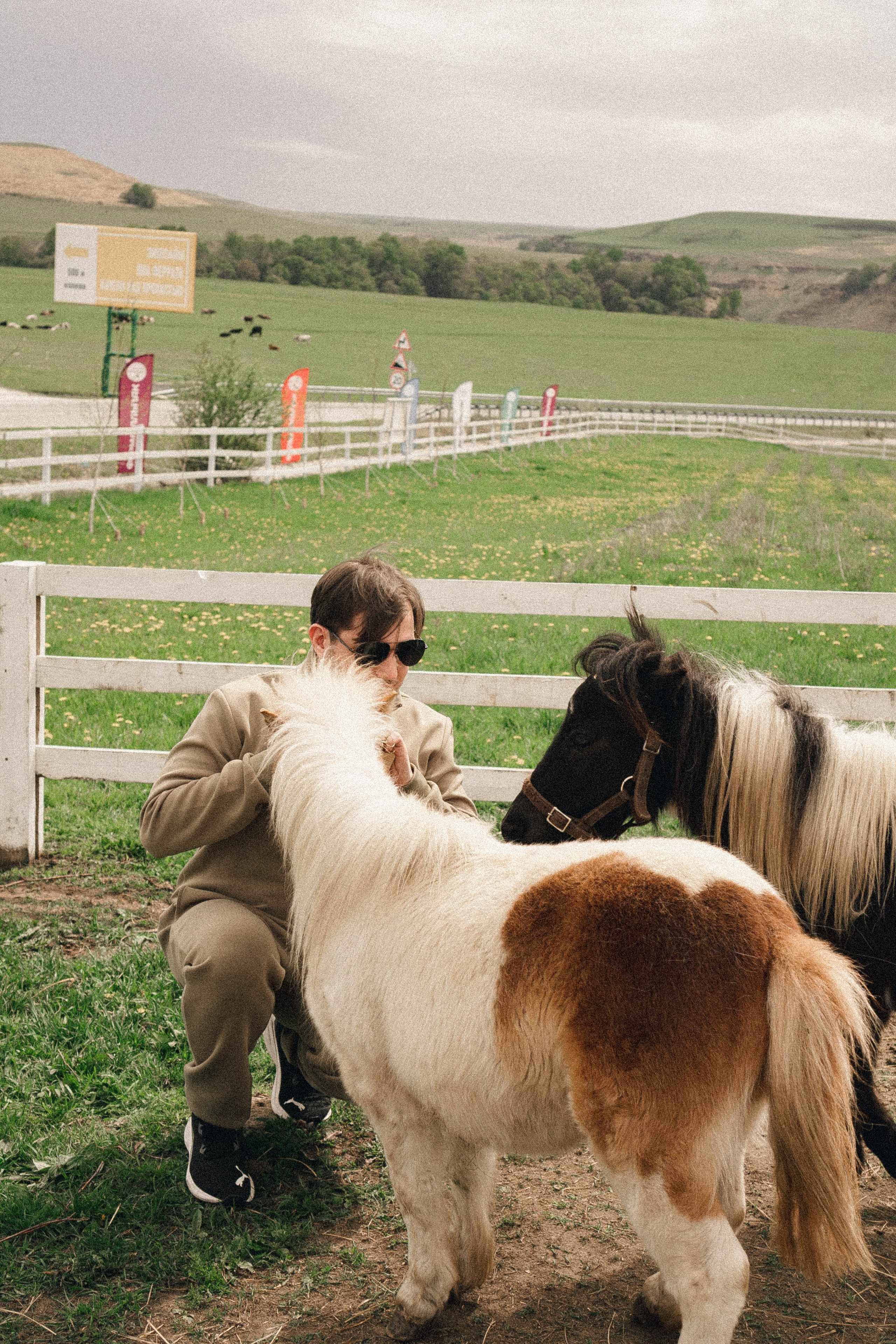 Ферма Альпак. Профессиональный фотограф, Санкт-Петербург — Виктория Богомолова