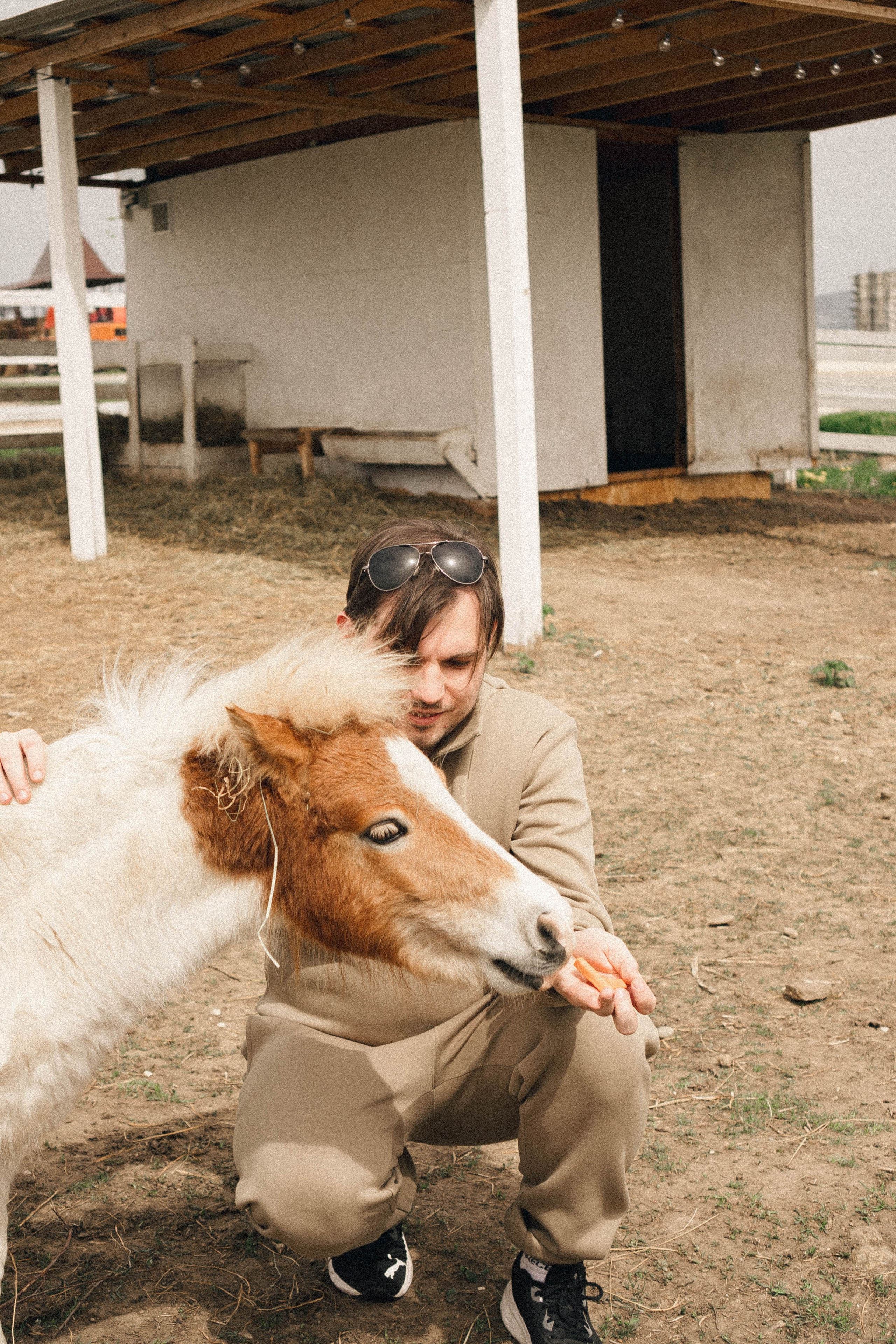 Ферма Альпак. Профессиональный фотограф, Санкт-Петербург — Виктория Богомолова