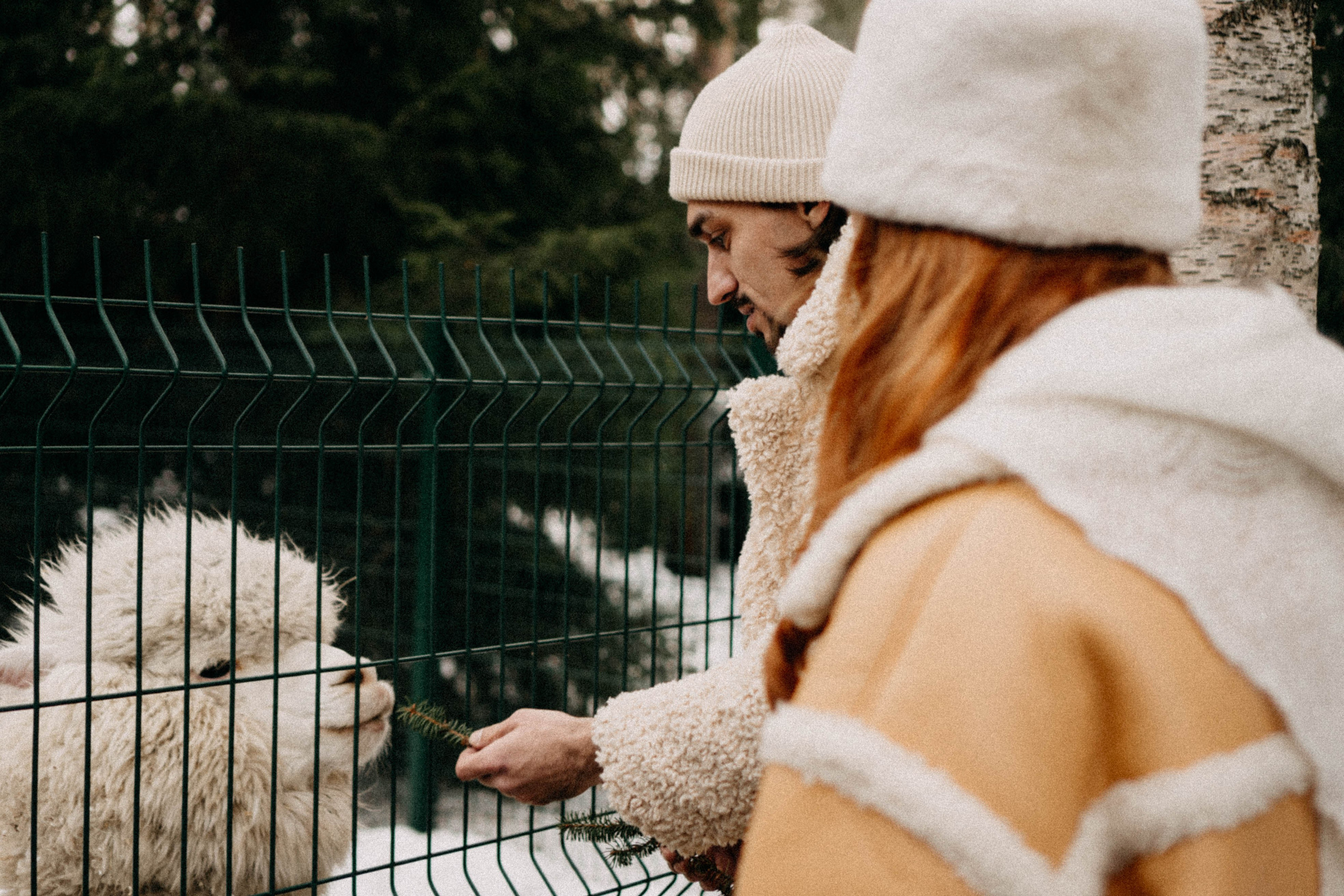 Каток. Профессиональный фотограф, Санкт-Петербург — Виктория Богомолова