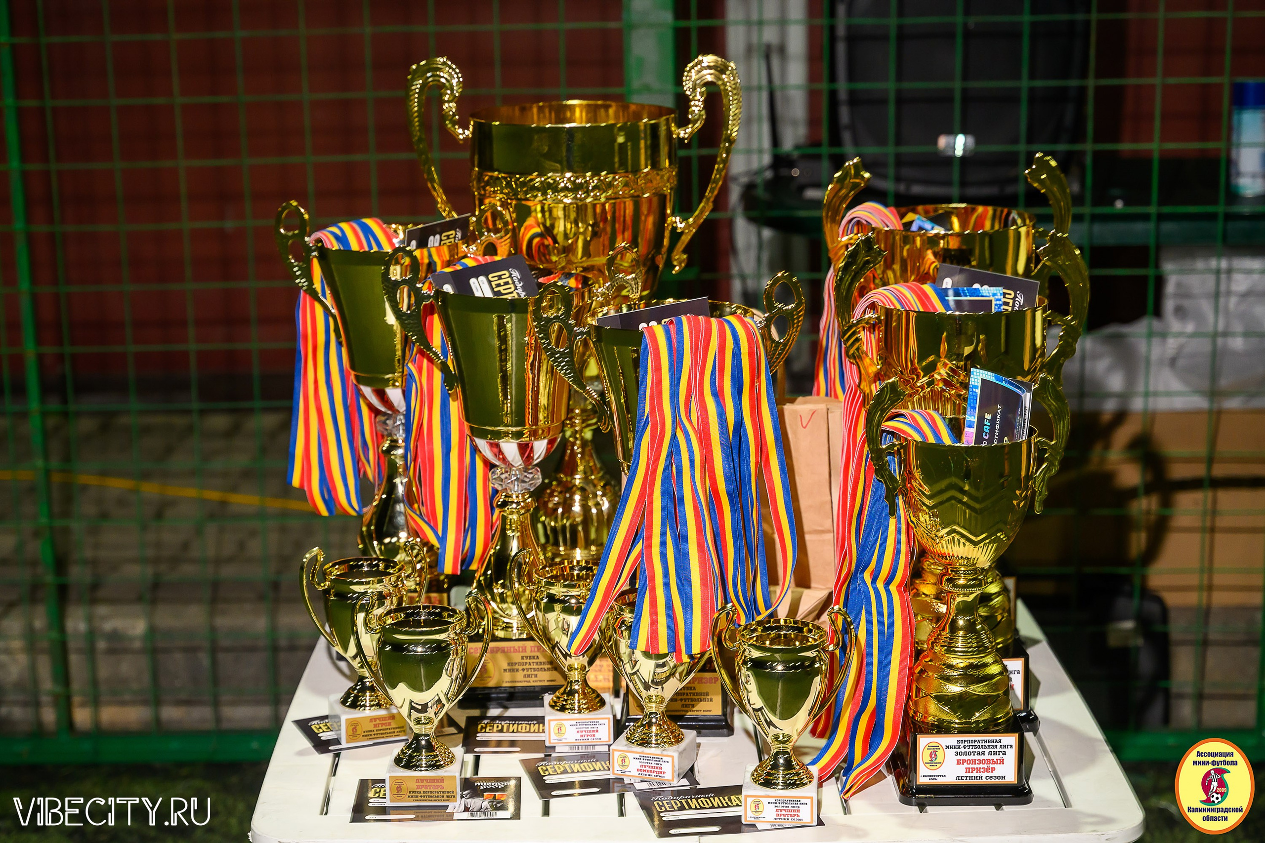 ФИНАЛЬНЫЕ ИГРЫ КУБКА МИНИ-ФУТБОЛЬНОЙ ЛИГИ И КУБКА КОРПОРАТИВНОЙ МФЛ 2025. VIBECITY.RU Вайб Сити Ру Фоторепортажи Фотоотчеты Калининград