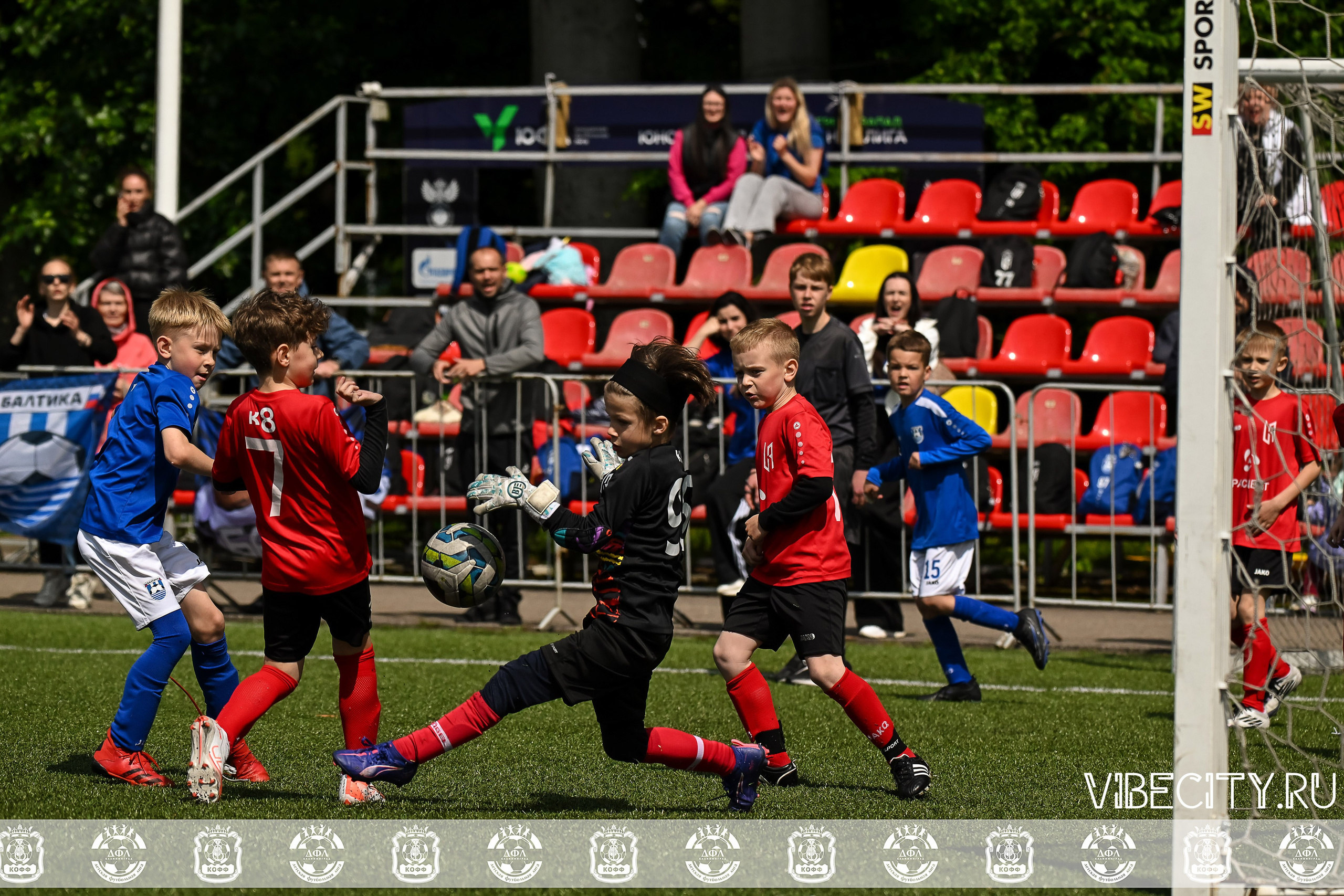 Большие Звезды светят Малым. VIBECITY.RU Вайб Сити Ру Фоторепортажи Фотоотчеты Калининград