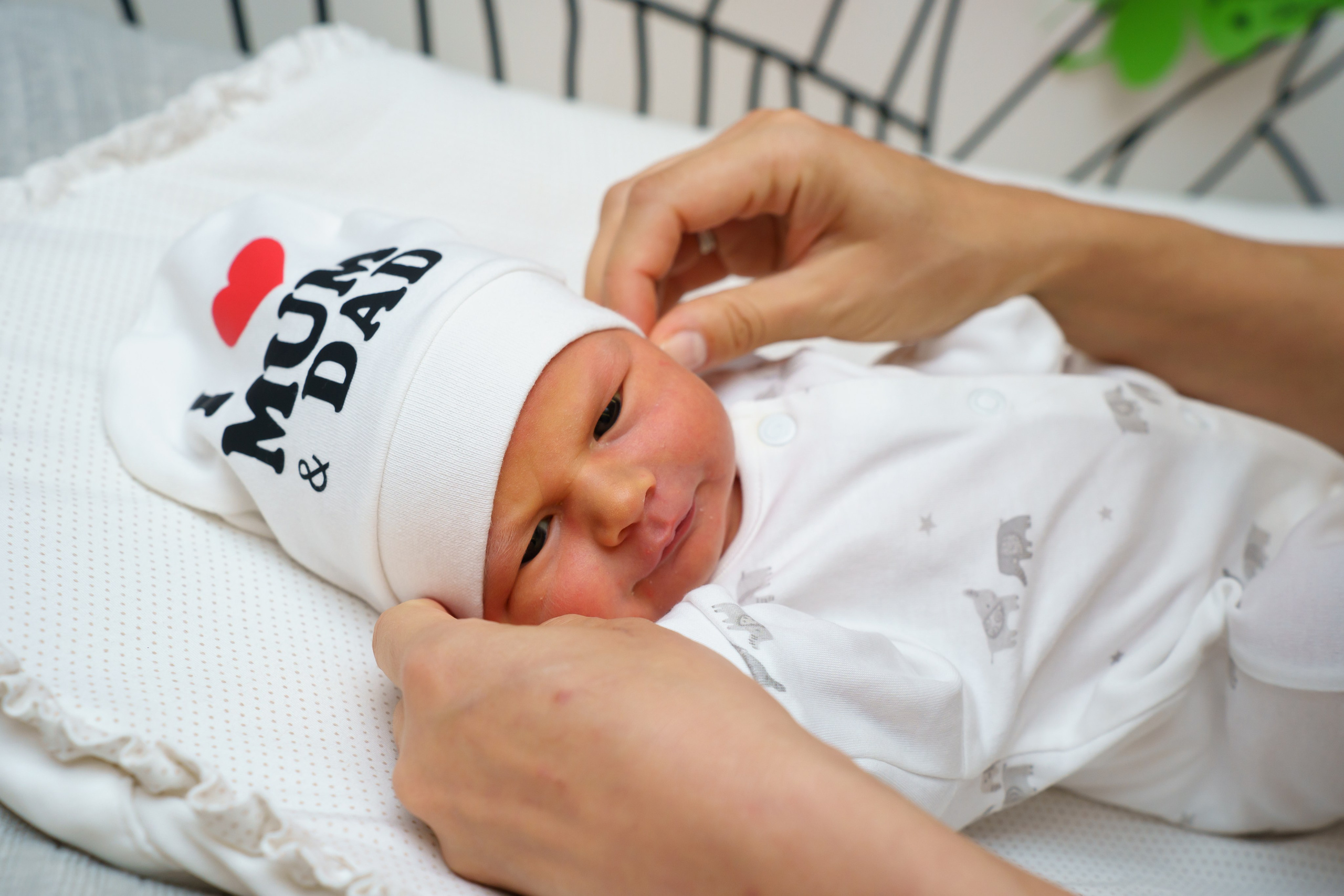 Скандинавия. Главная