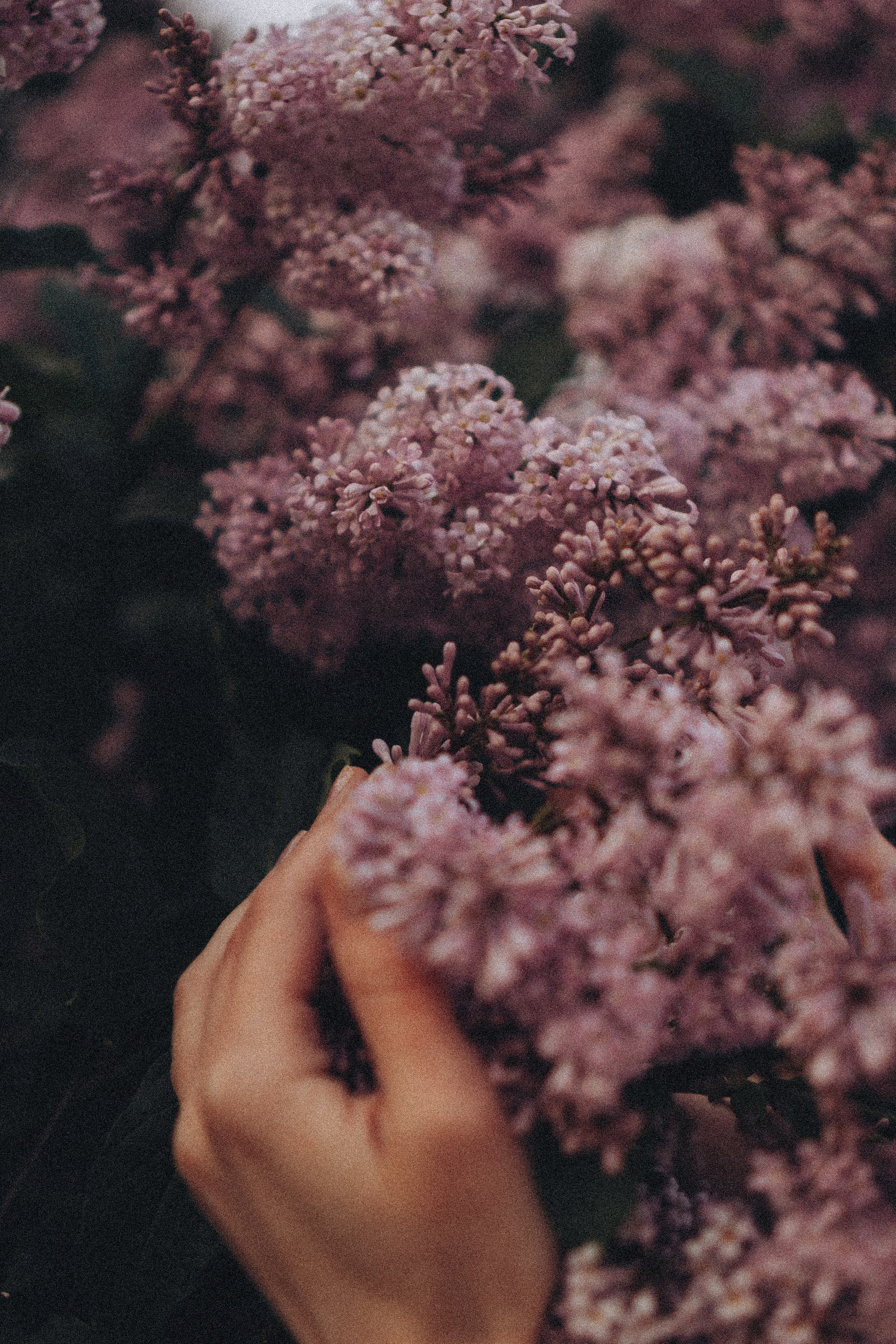 Весна. Профессиональный фотограф, Санкт-Петербург — Виктория Богомолова