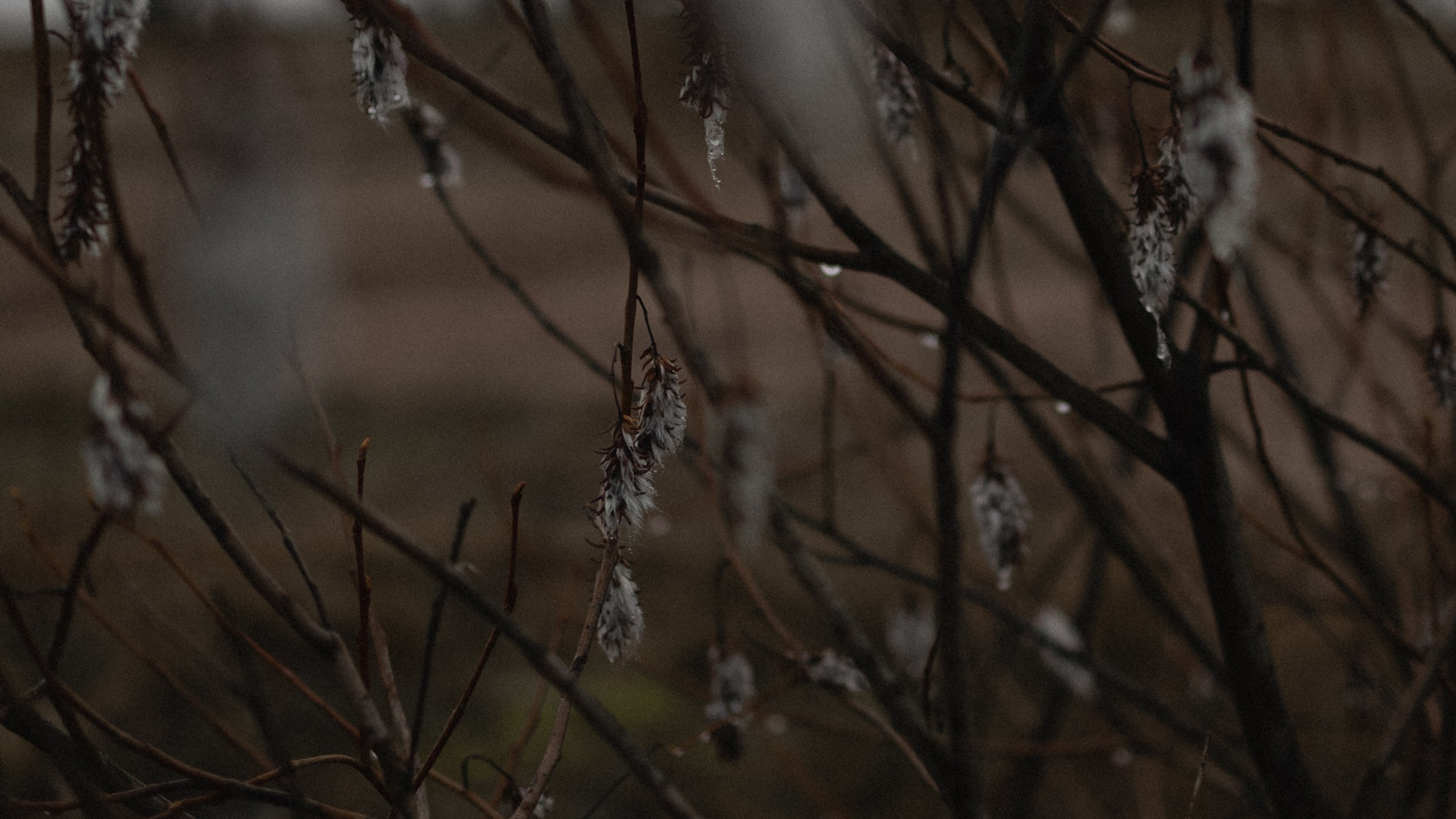 К Чуду. Фотограф Daria Wilner