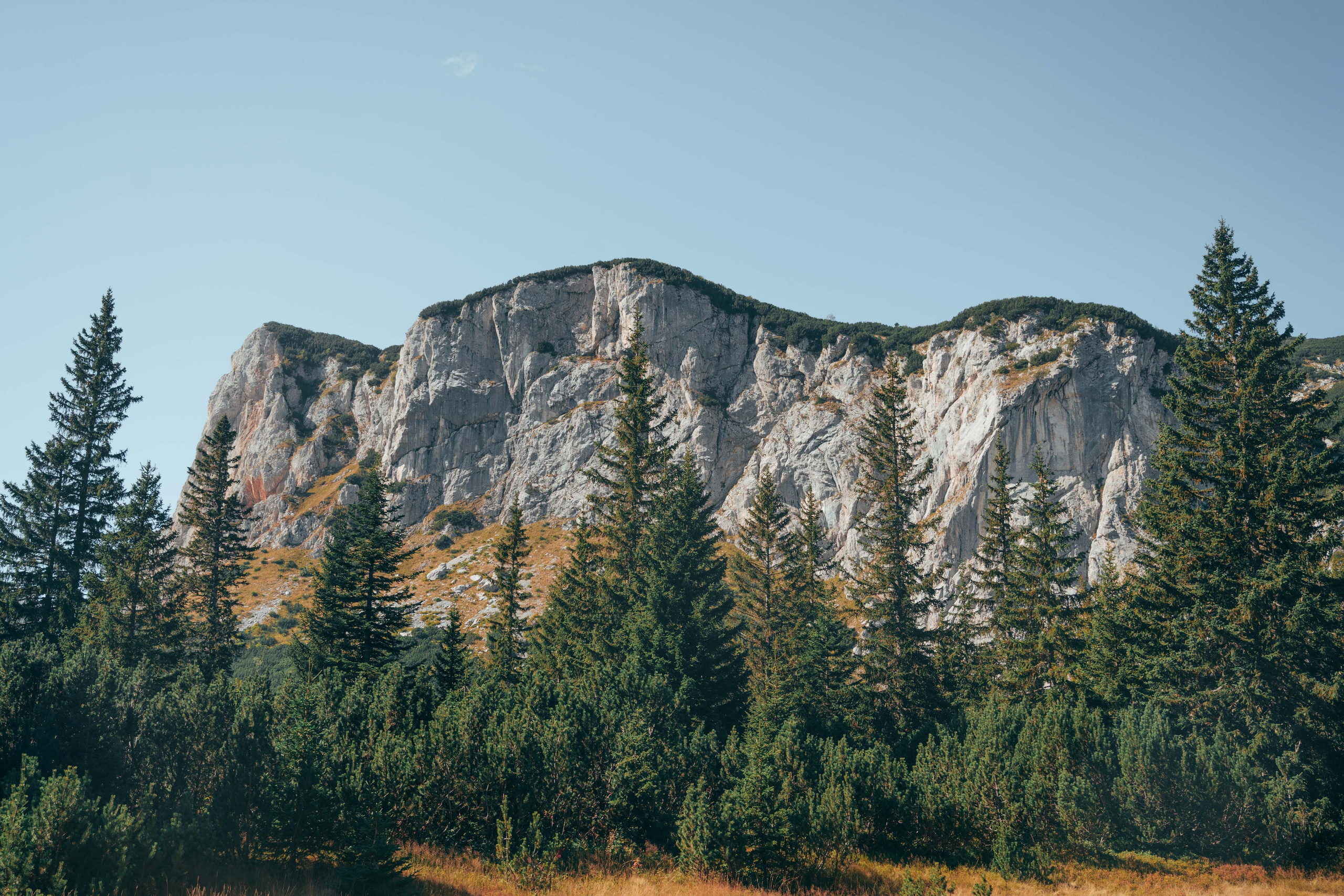 ЦРВЕНА ГРЕДА. ЧЕРНОГОРИЯ. Фотограф в Белграде Чугреева Елена