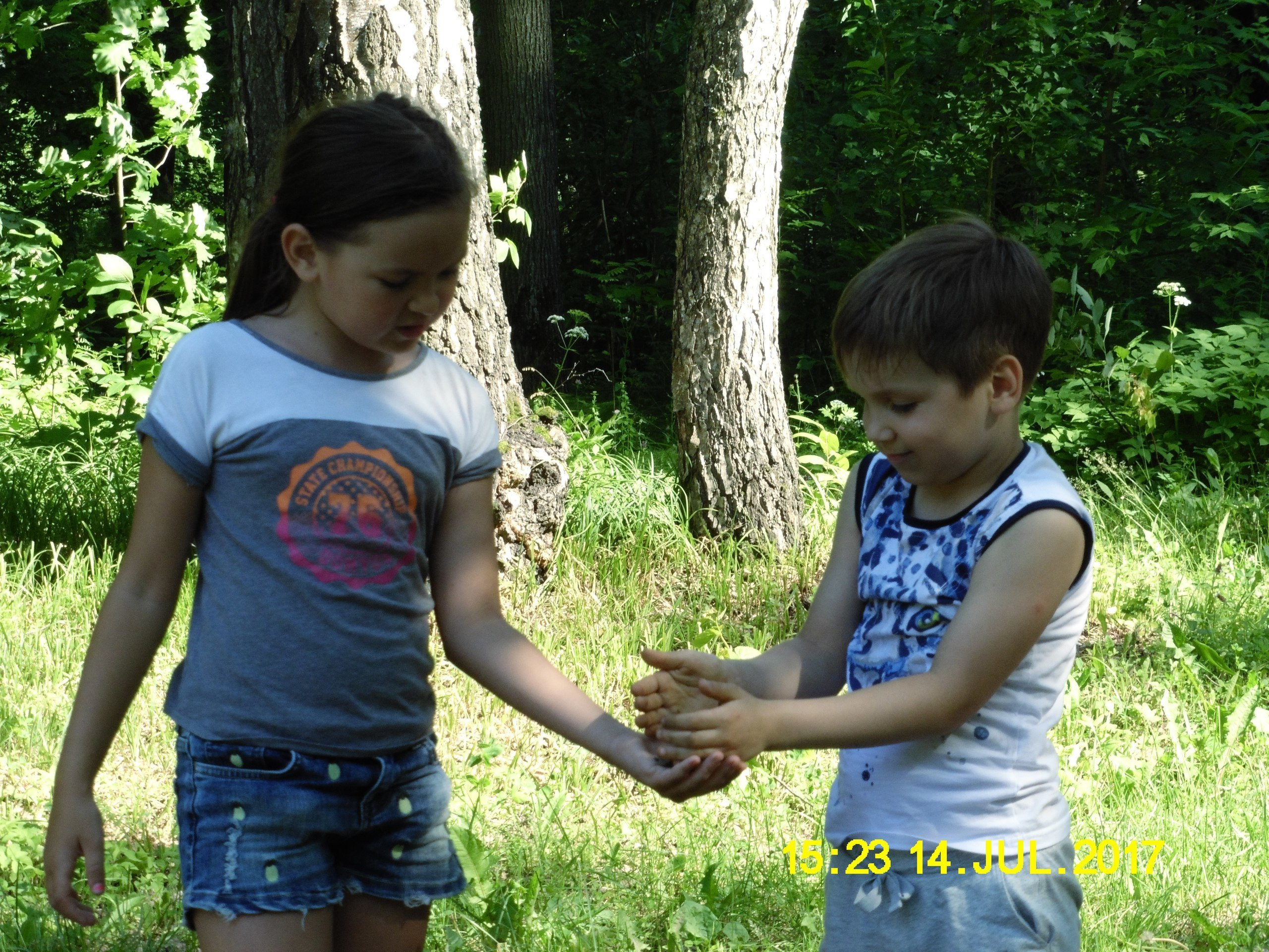 Каполагерь 2017 Олимпиец. Капоэйра в Казани ABADÁ-Capoeira