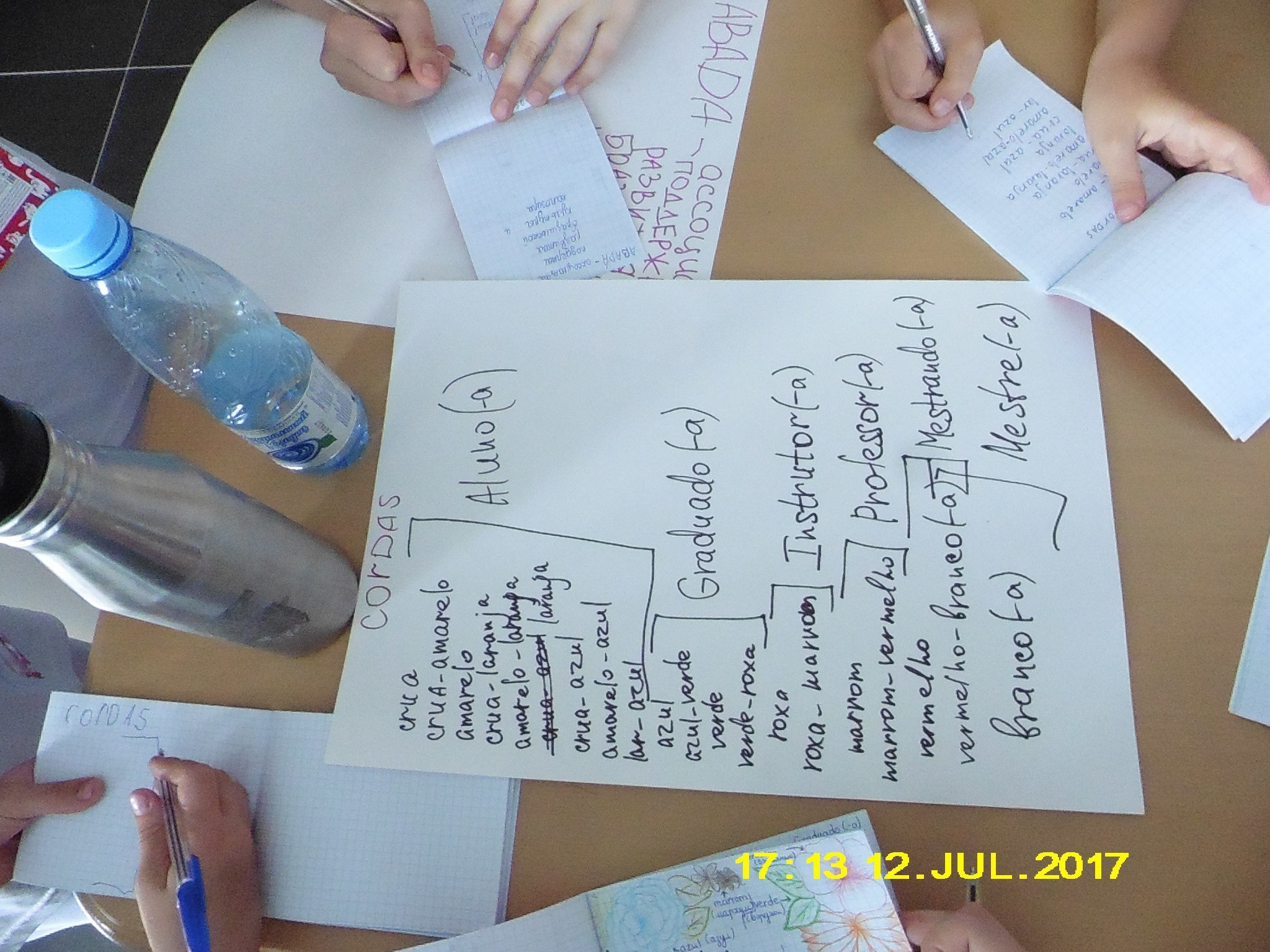 Каполагерь 2017 Олимпиец. Капоэйра в Казани ABADÁ-Capoeira