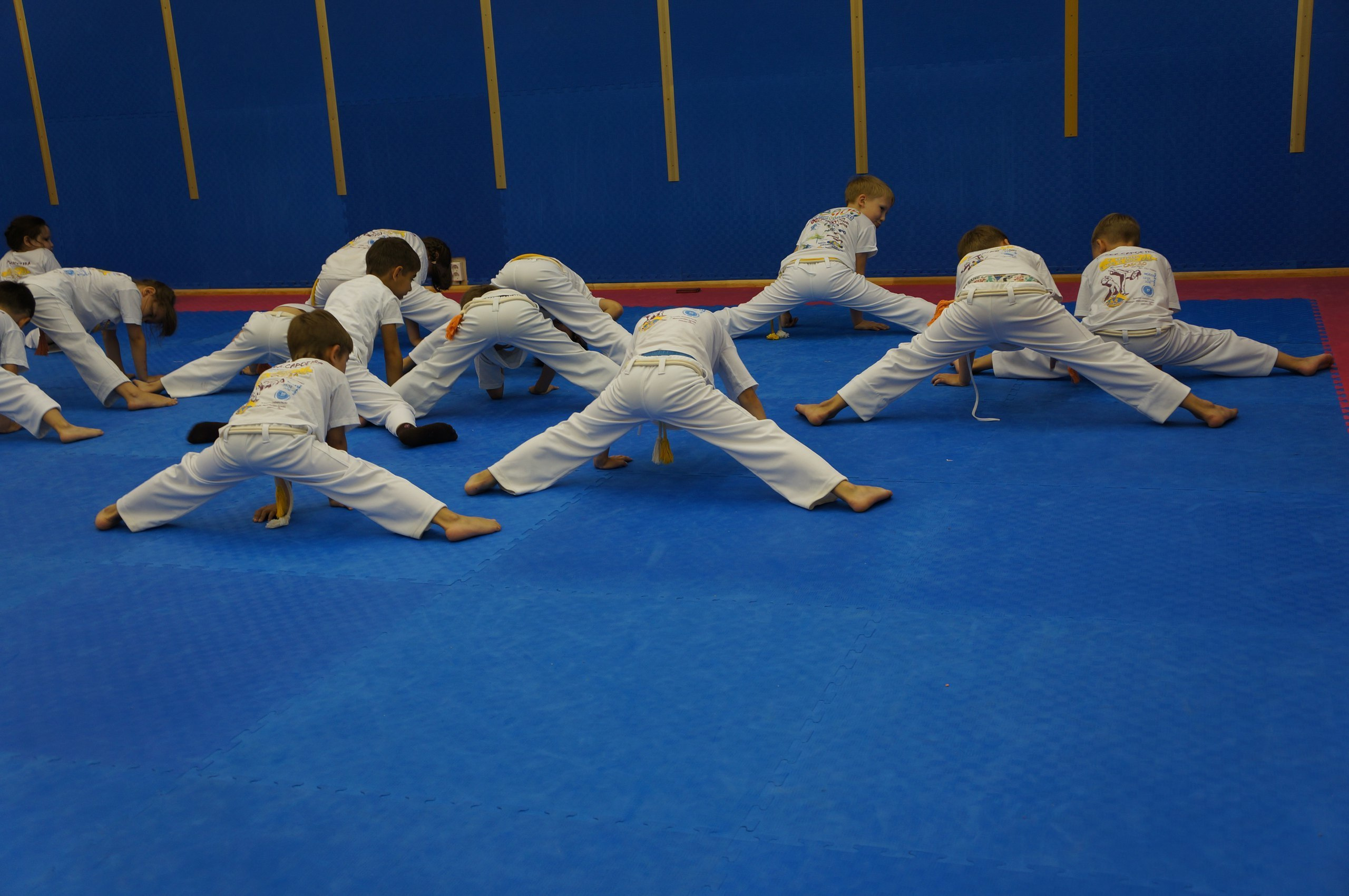 Каполагерь 2015 Казань. Капоэйра в Казани ABADÁ-Capoeira