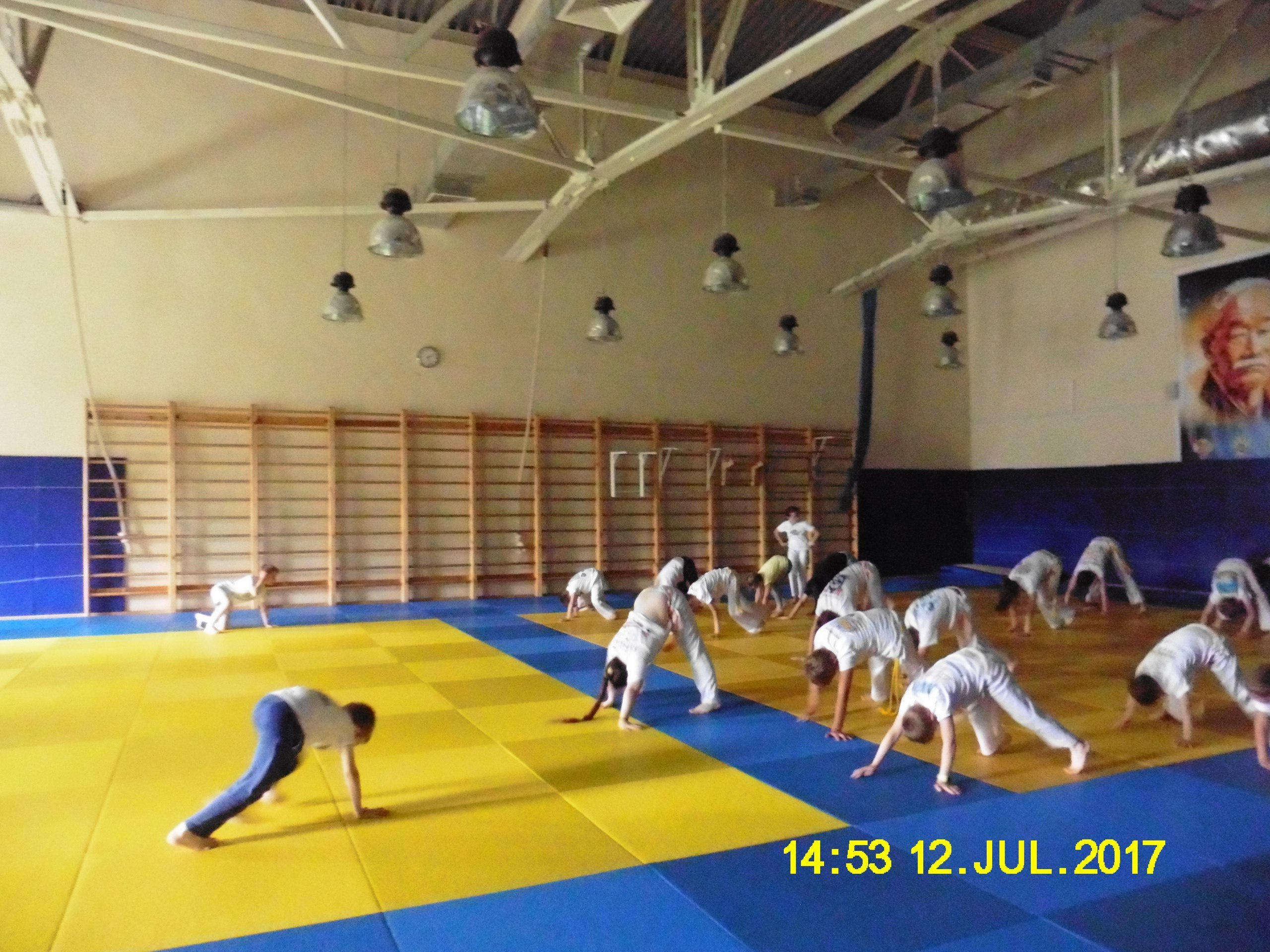 Каполагерь 2017 Олимпиец. Капоэйра в Казани ABADÁ-Capoeira