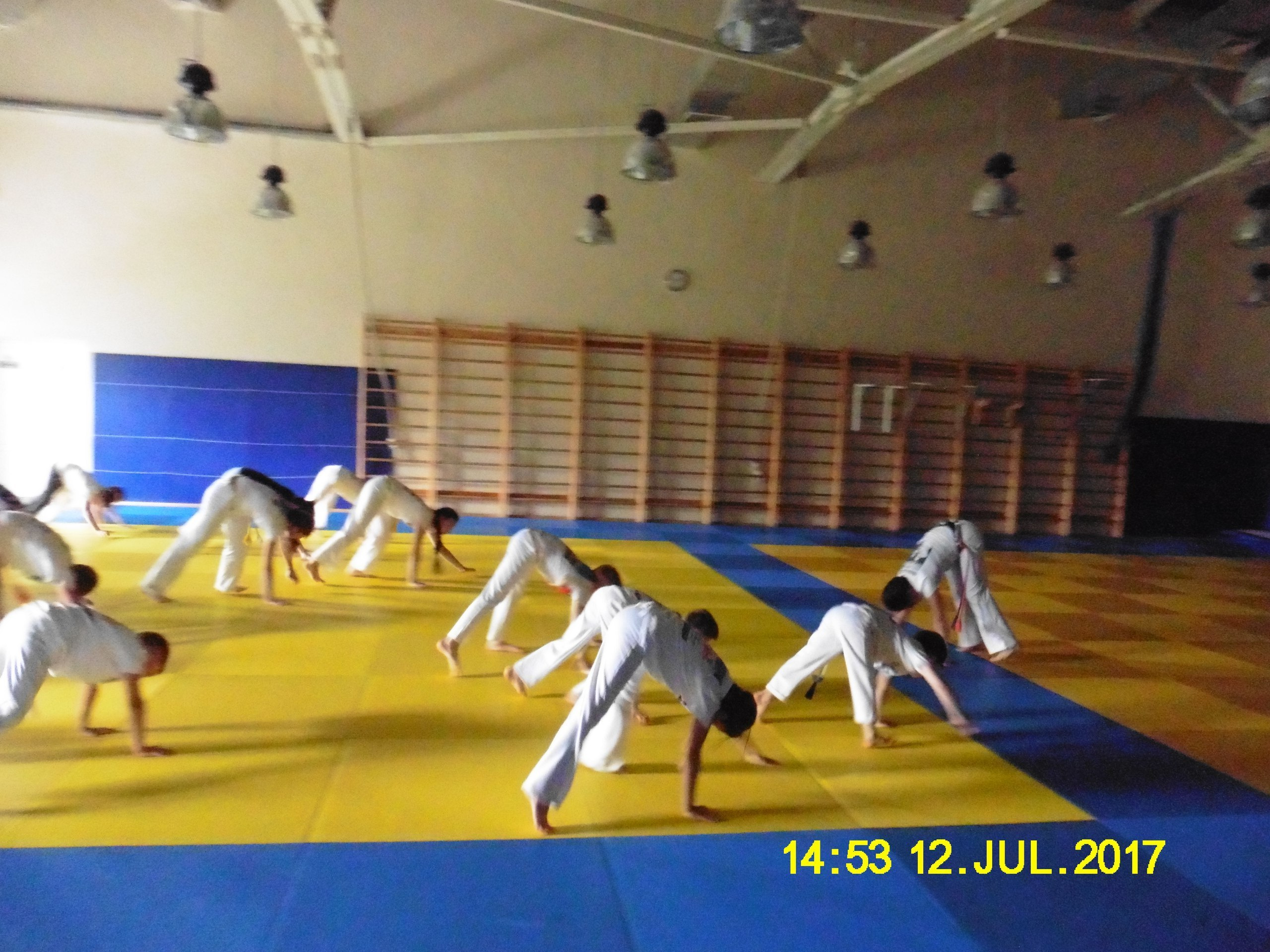 Каполагерь 2017 Олимпиец. Капоэйра в Казани ABADÁ-Capoeira