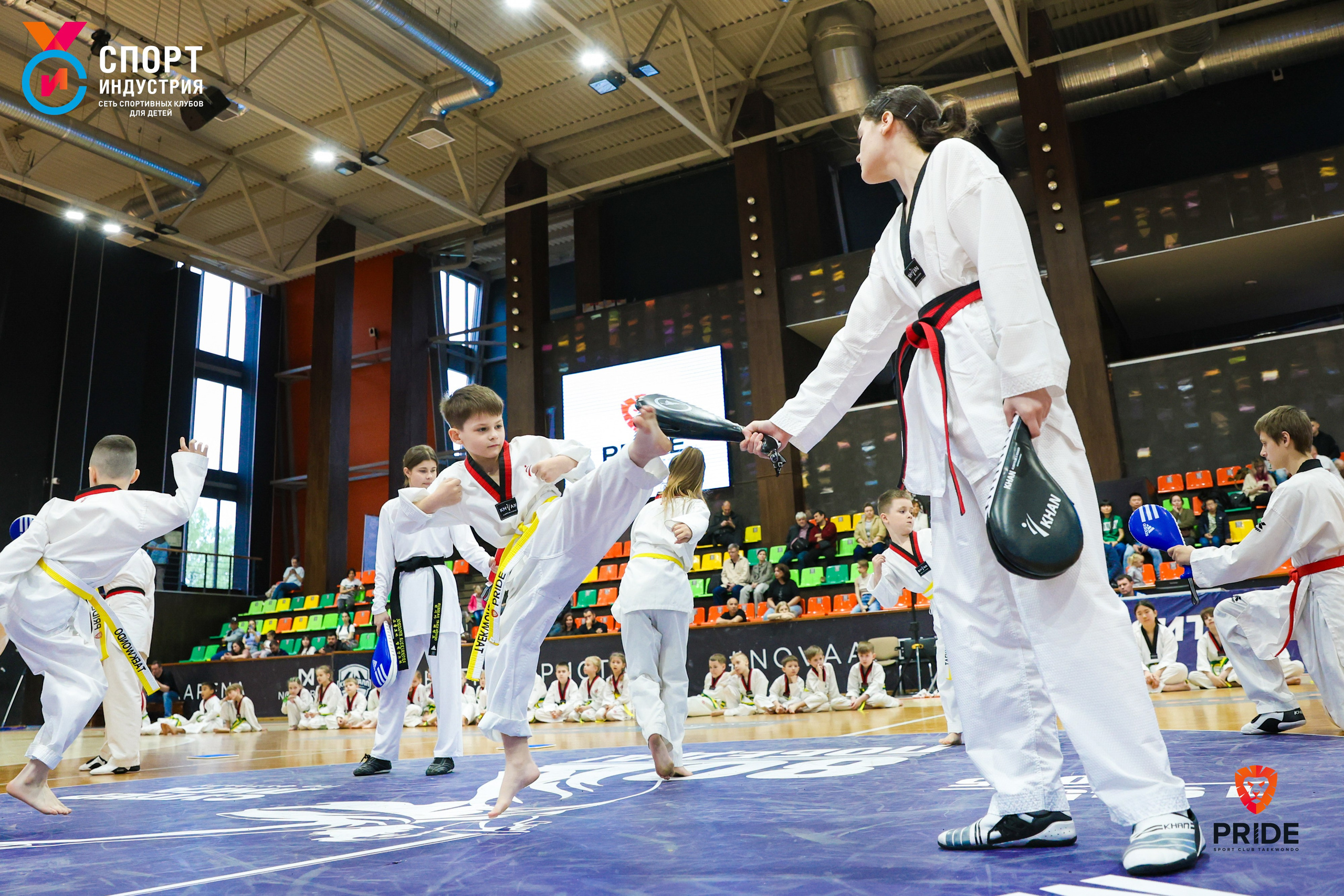 Аттестация по тхэквондо. Фотограф Дарья Попова
