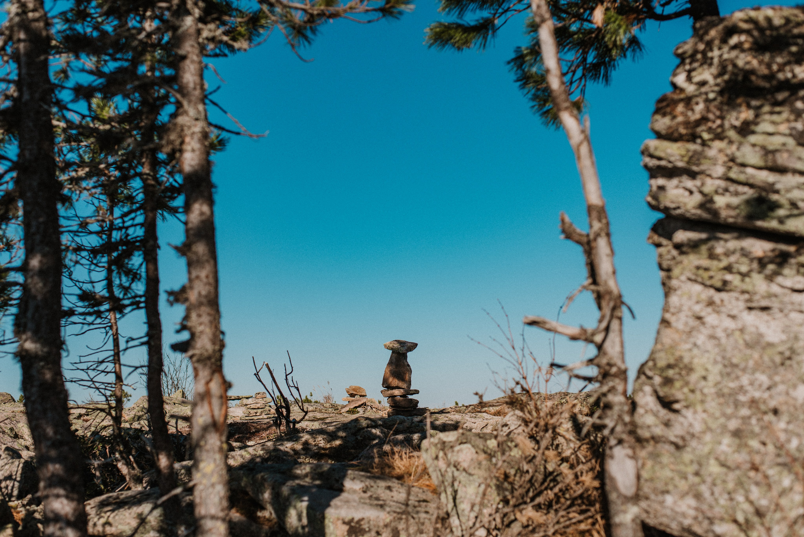 Кутурчины. Свадебный и семейный фотограф в Красноярске Наталья Дроздова