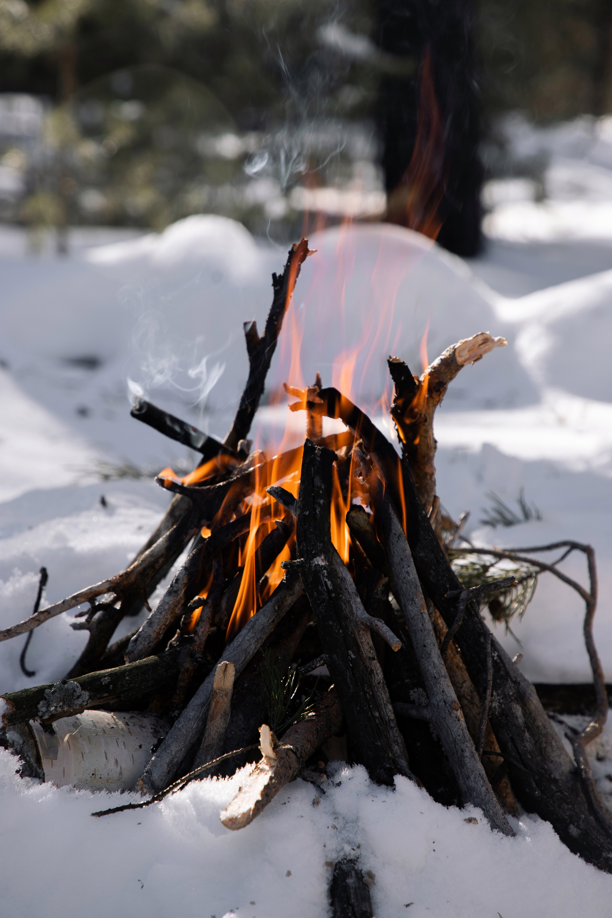 Наталья. Фотограф Денис Лесковский (Тюмень)