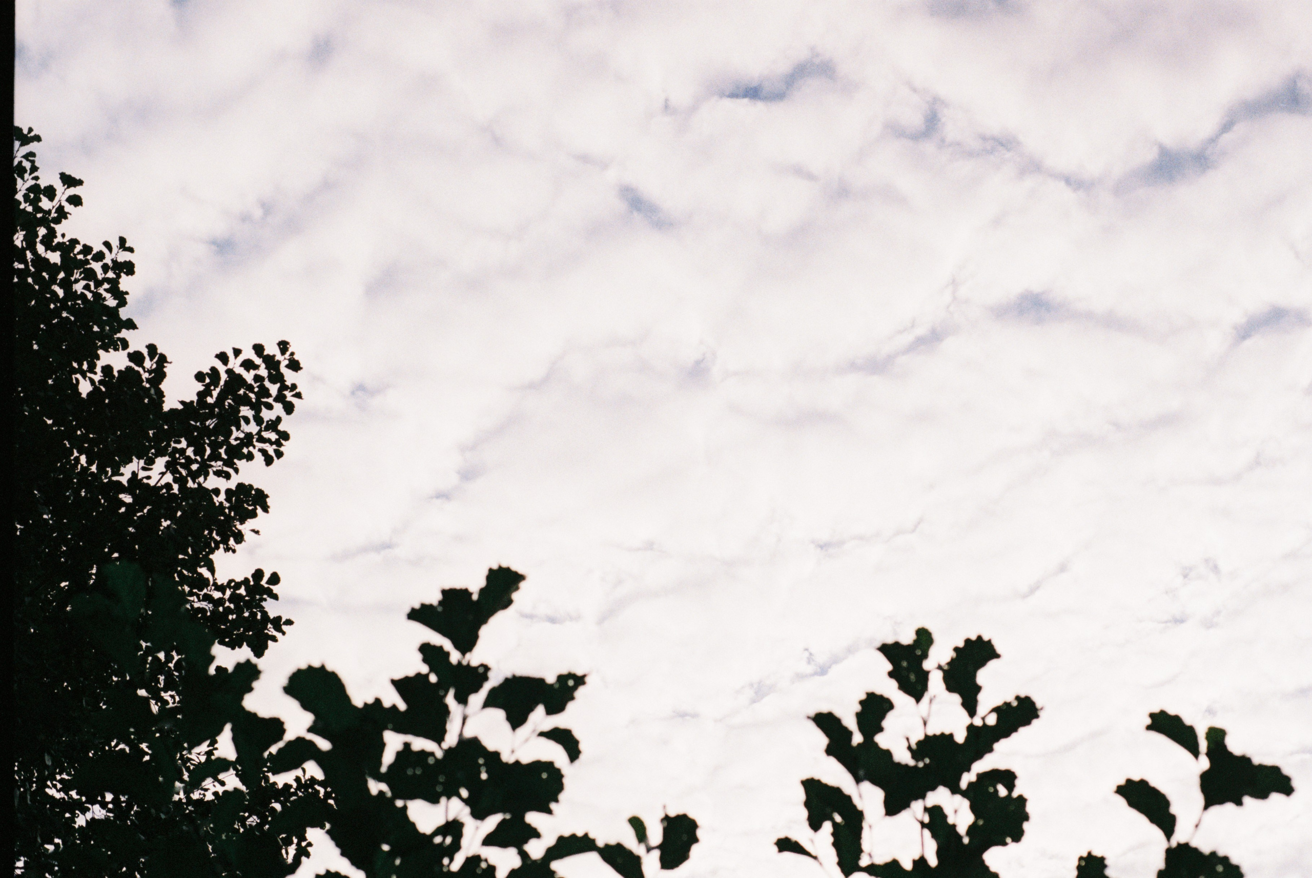 Film. Ruslan UI Dev Page