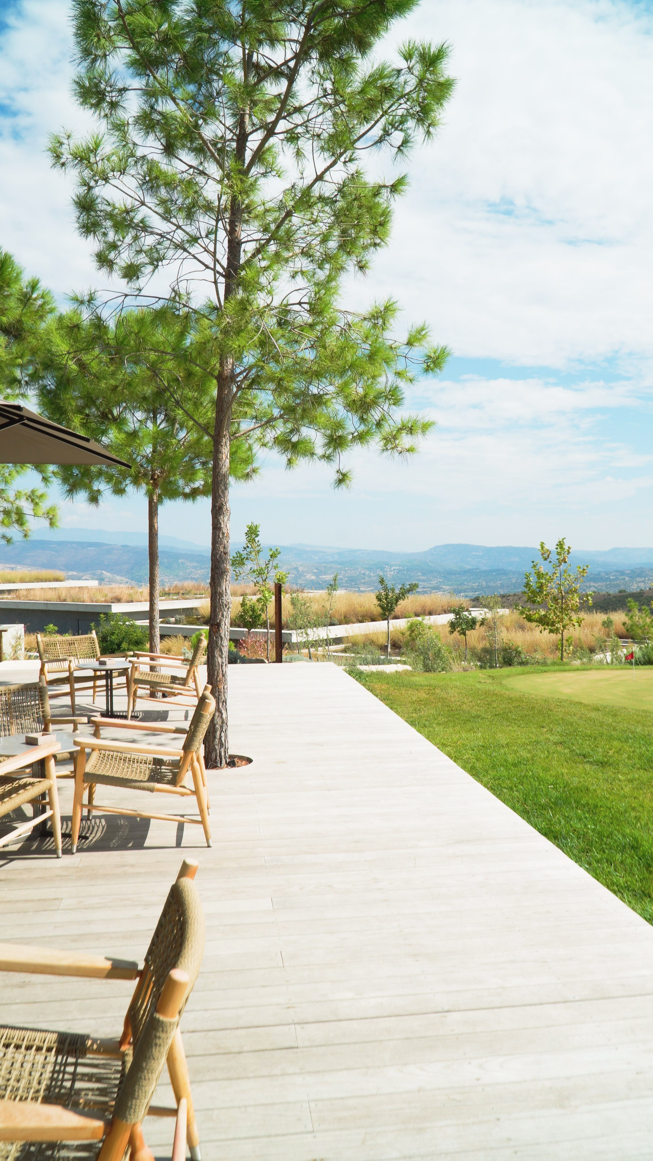 Агенство Недвижимости. Видеограф Добромыслов