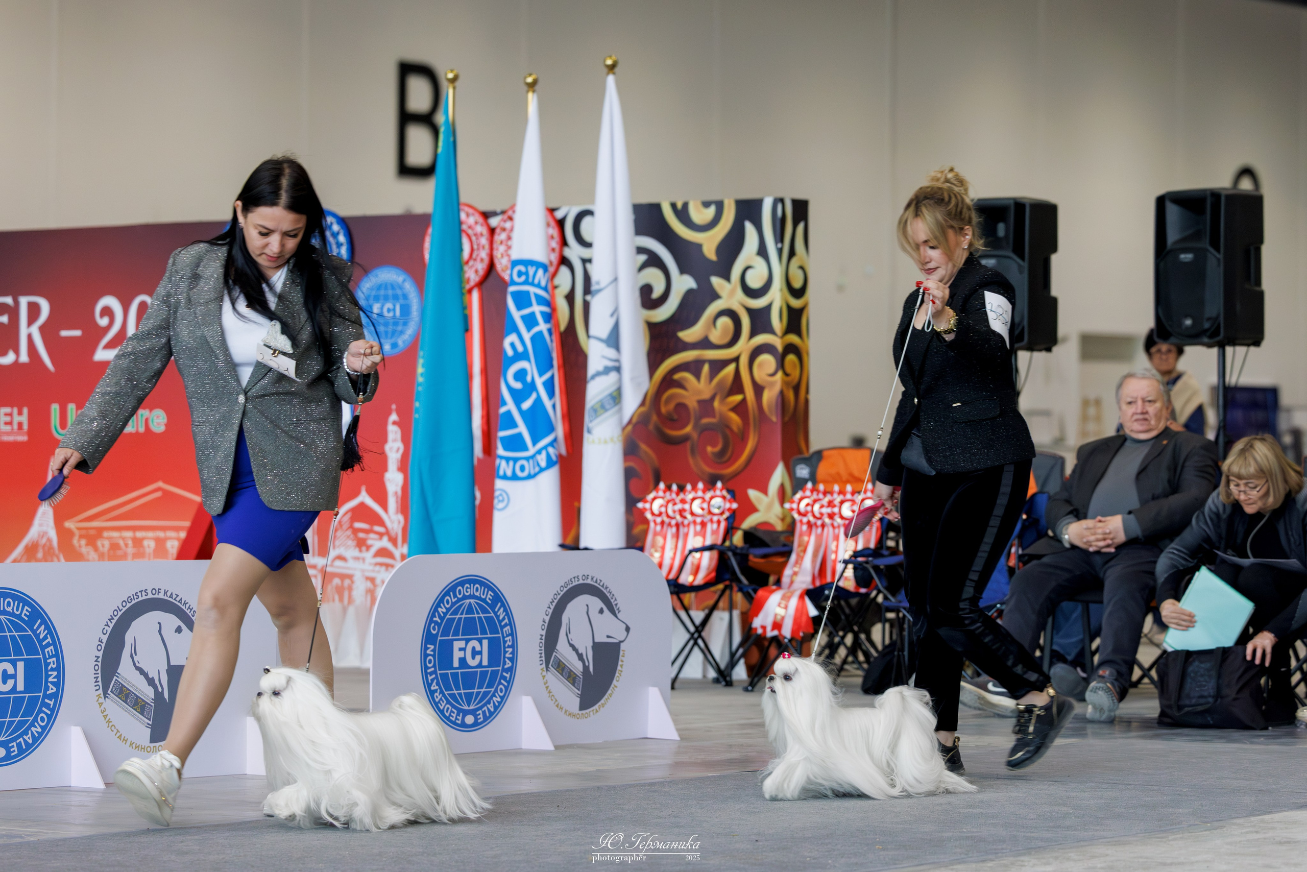 Астана 2хCACIB 3-4.05.2025. Фотограф-анималист Юлия Германика