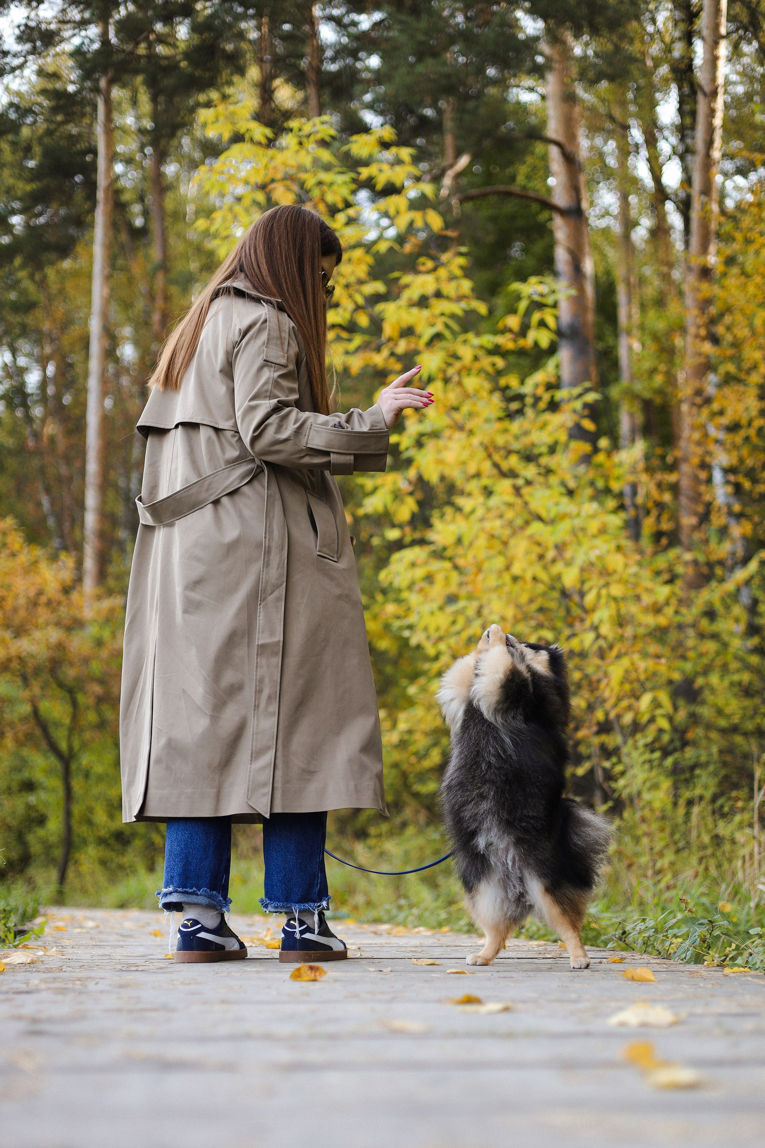 Арчи и Анастасия. Фотограф-анималист Ксения Шевцова|Москва