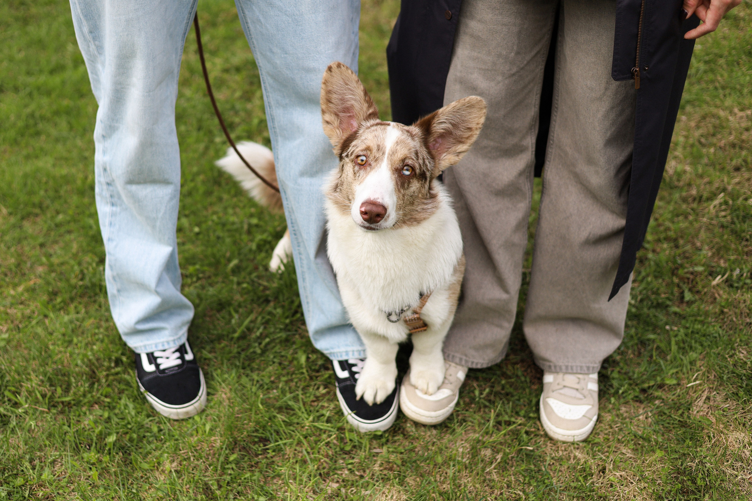 Анджей, Софья и Андрей. Фотограф-анималист Ксения Шевцова|Москва