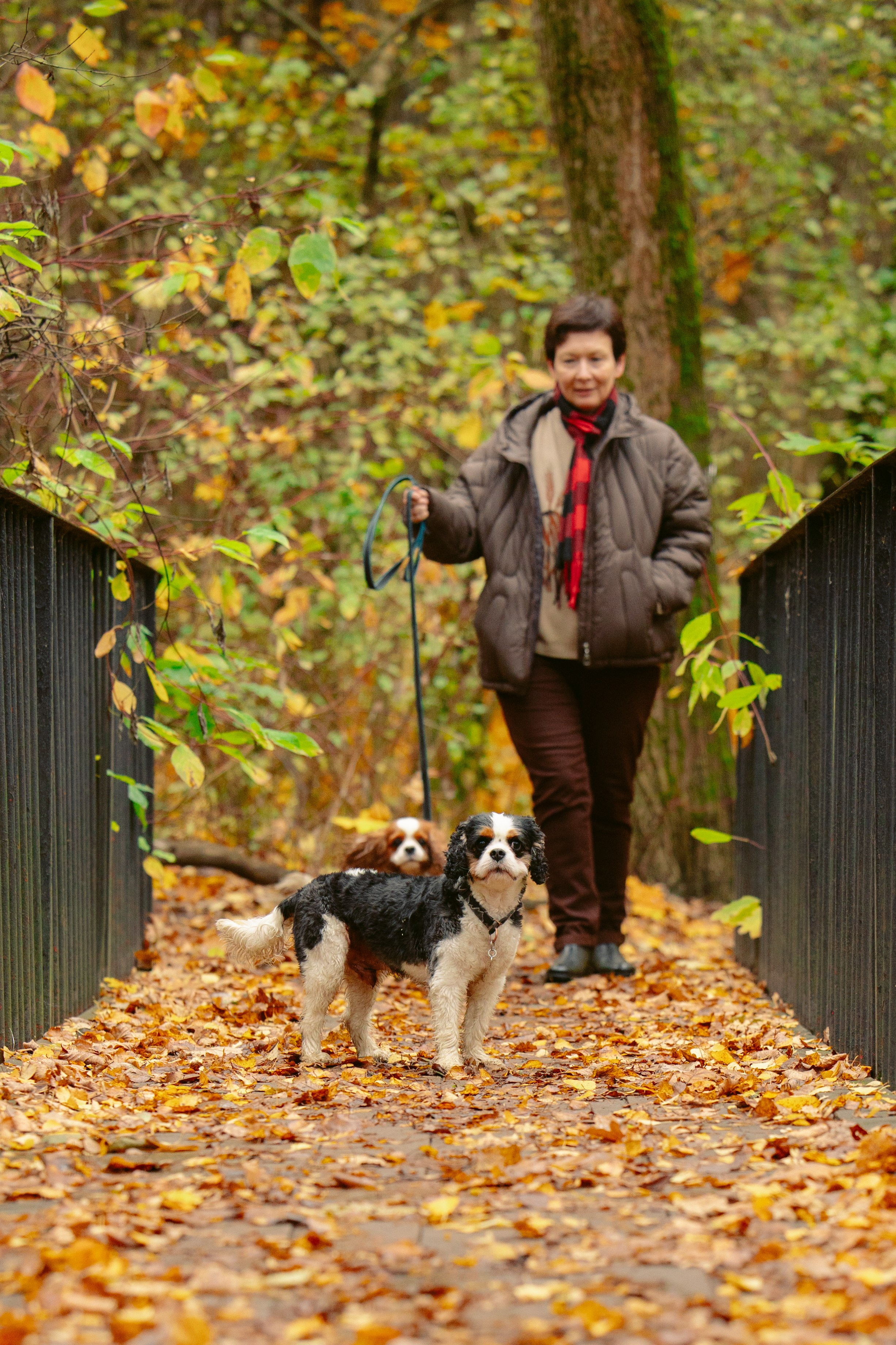 Ричард и Филя. Виктория Михайловская. Фотограф-анималист. Москва