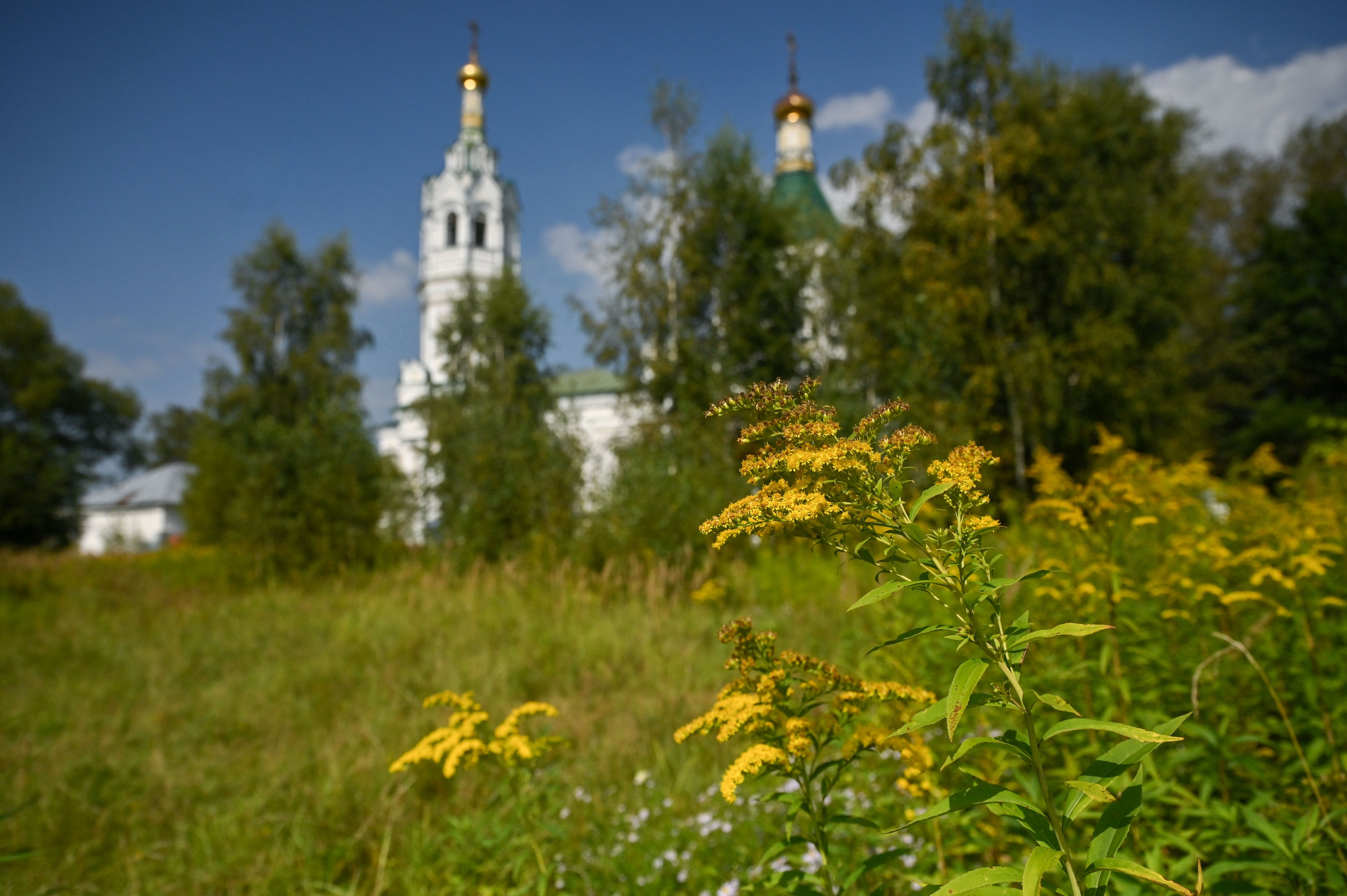 Успение Пресвятой Богородицы с. Ванилово. Семейный фотограф в г. Воскресенск Наталия Молева