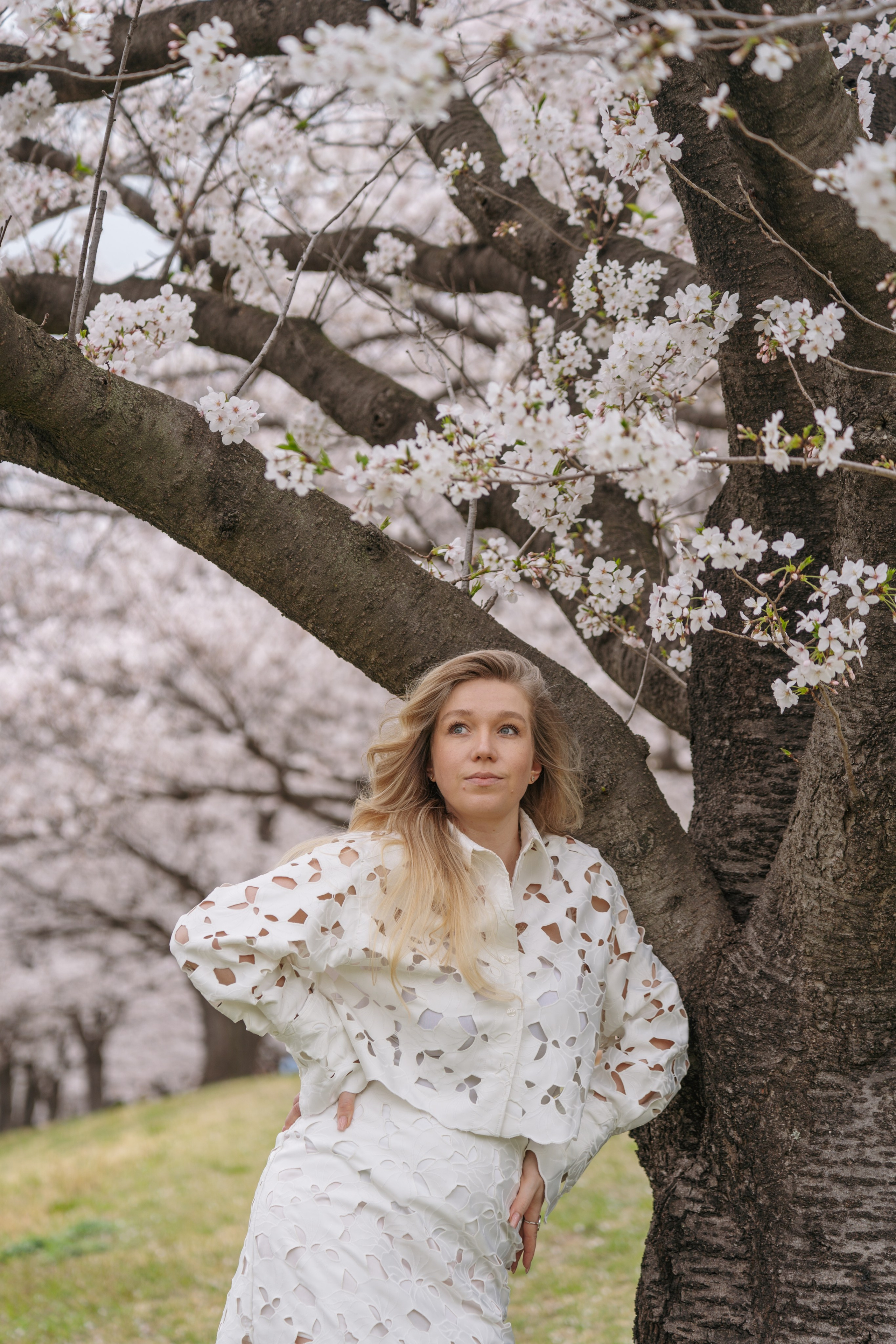Sakura. Фотограф Алина Диева Москва | Токио