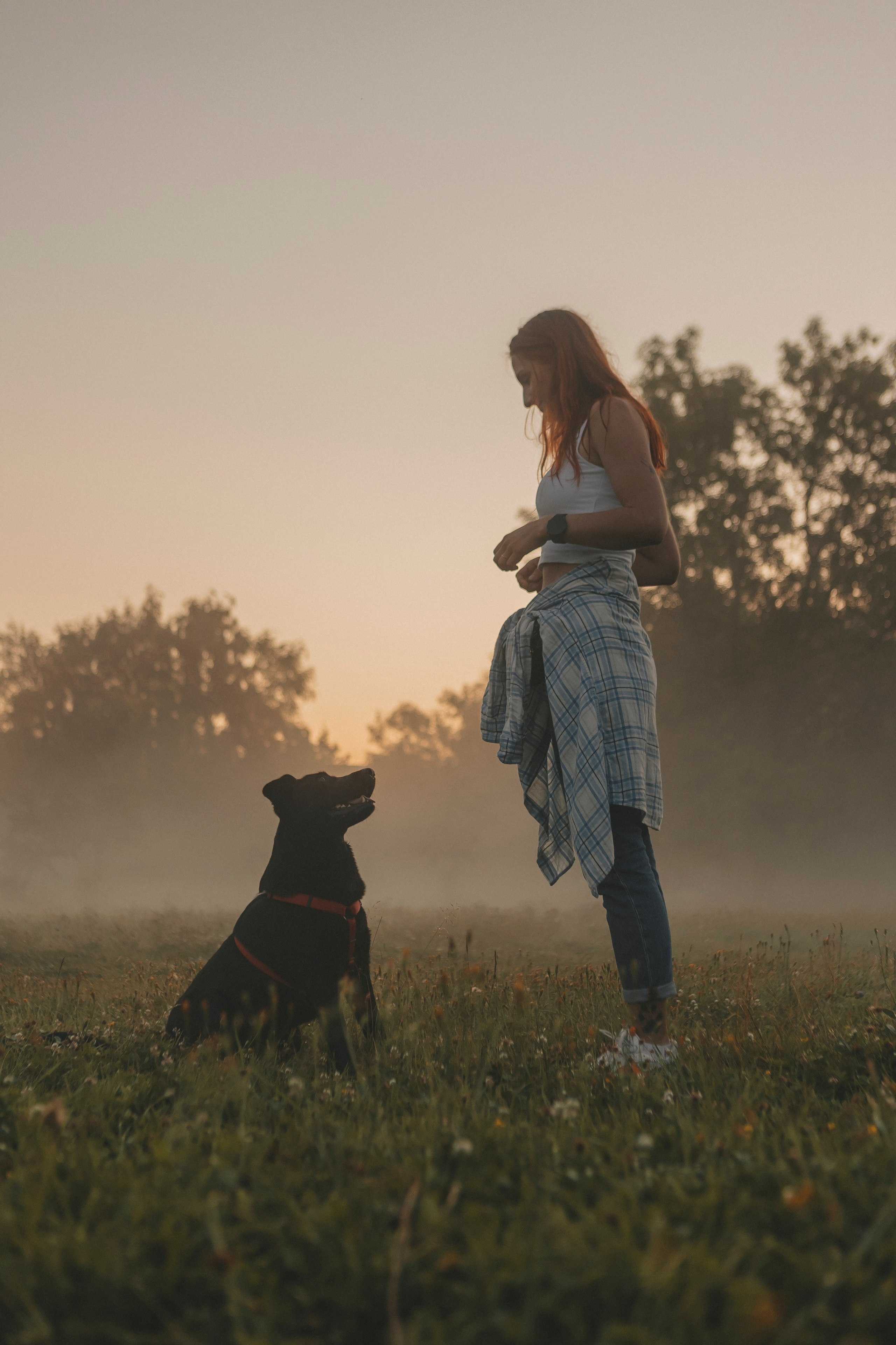 Саша и Дана. Фотограф-анималист в Санкт-Петербурге Алина Яхонт