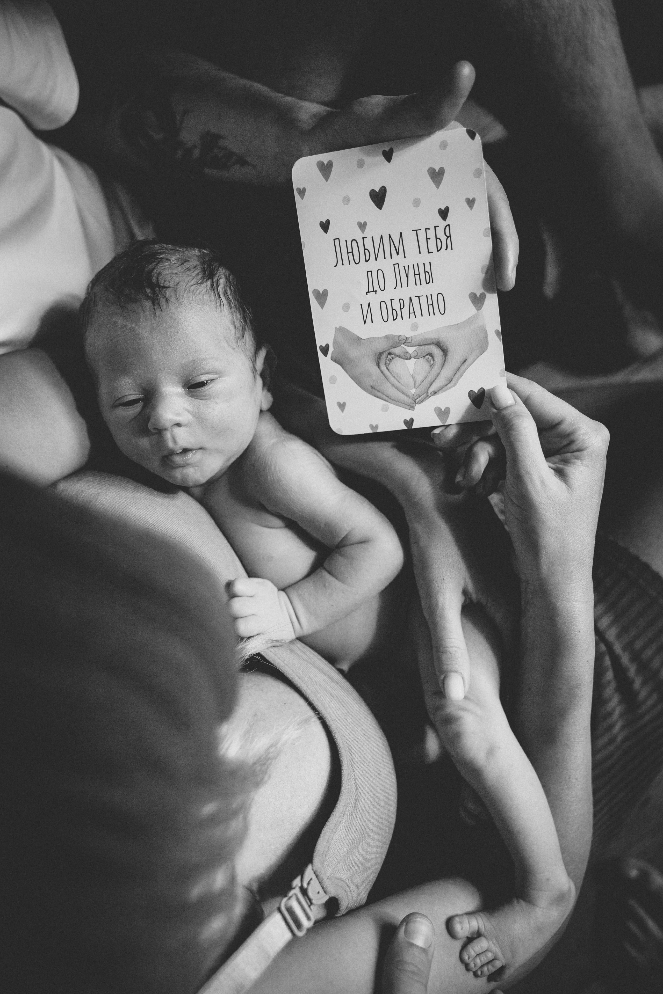 Прайс и Условия. Семейный фотограф и фотограф на роды в Ростове-на-Дону Мухина Виктория