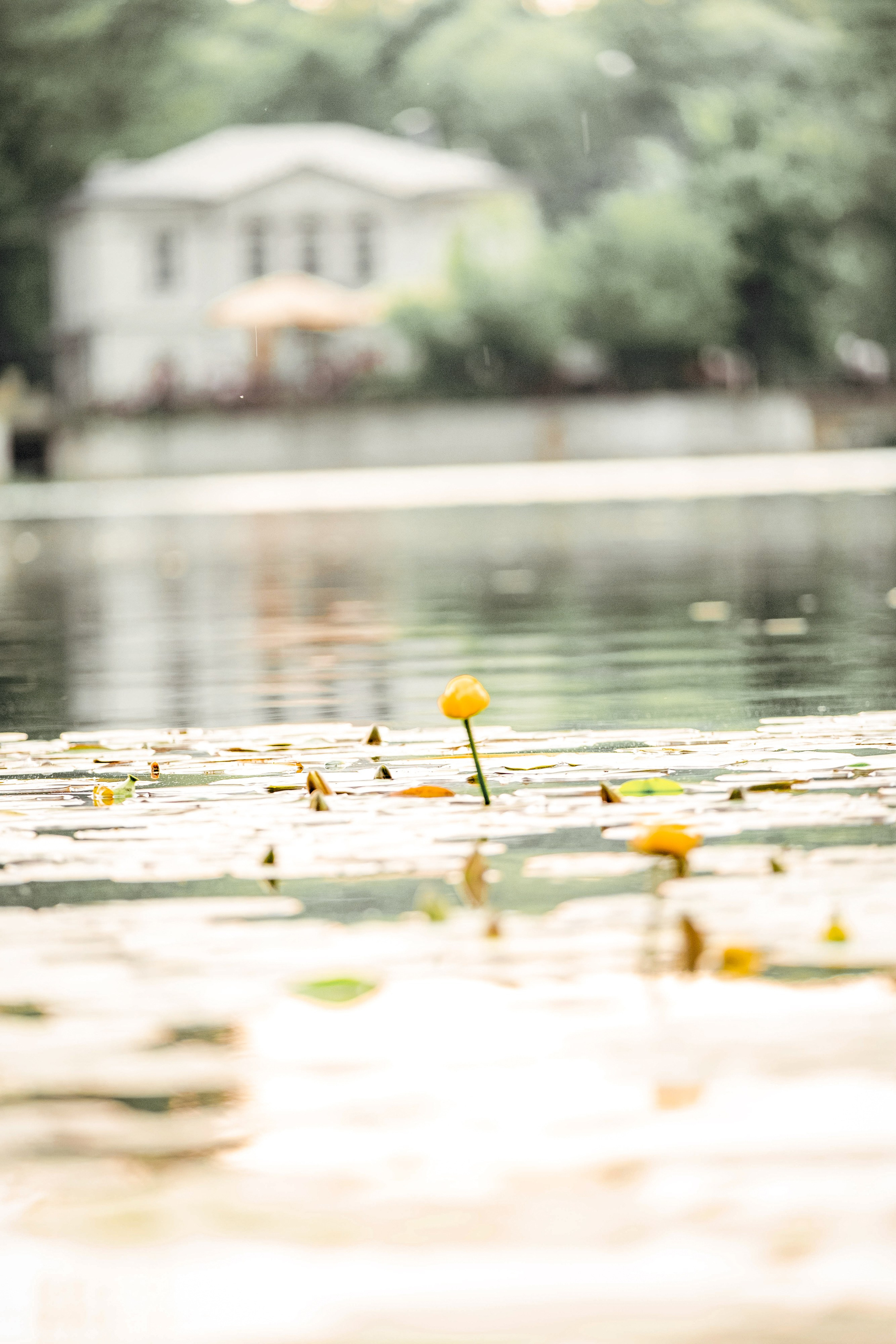 Максим и Алена